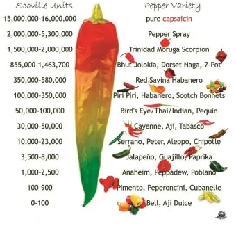 매운 라면 스코빌 지수 비교 신라면 열라면 불닭_12