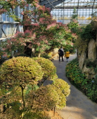 우리꽃식물원 6일간 무료 개방