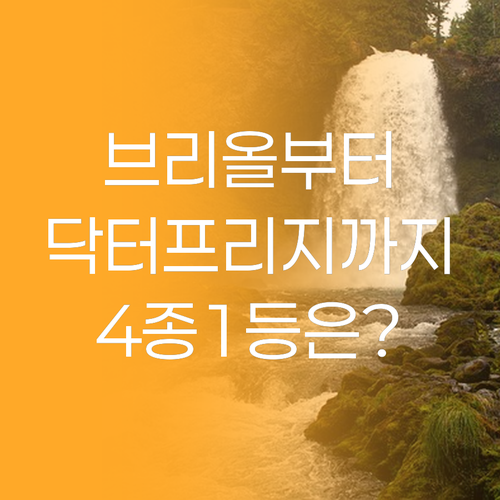 브리올 미백치약부터 닥터프리지까지 인..