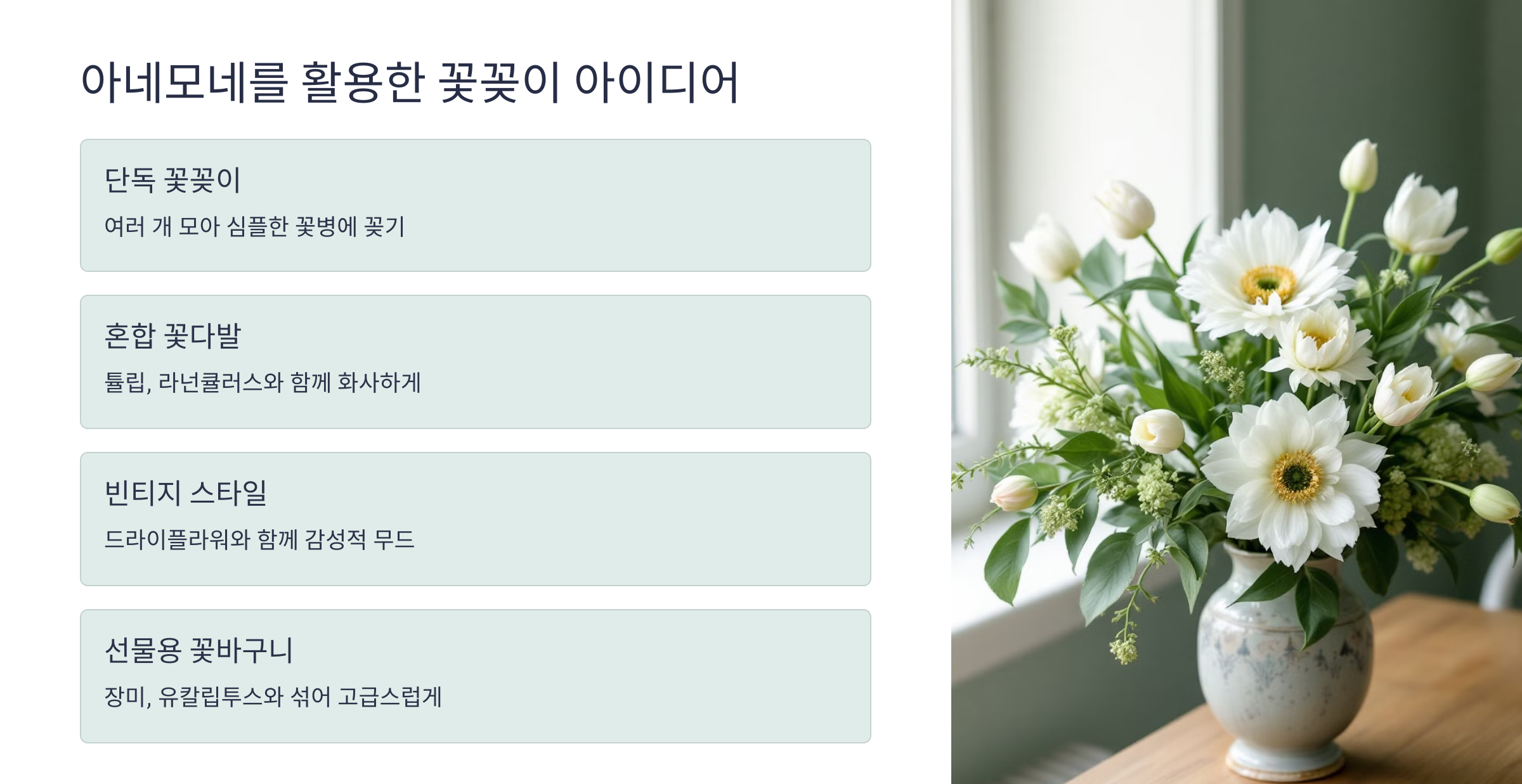 아네모네 사진