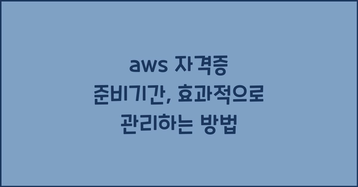aws 자격증 준비기간