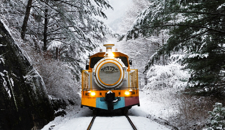 정선 레일바이크