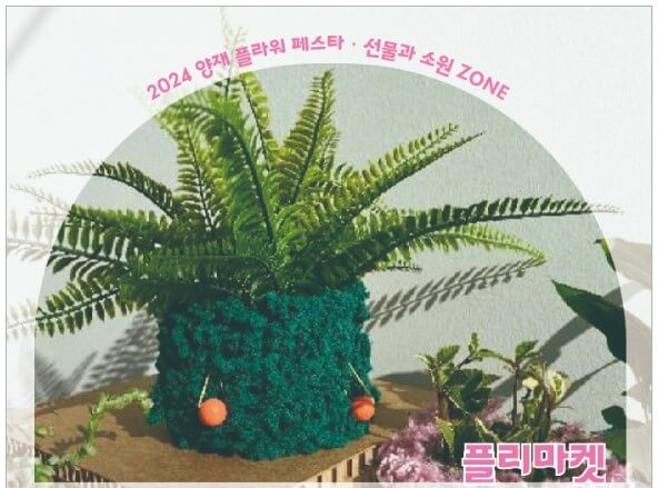 해피키키