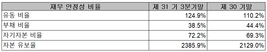 (주)원익홀딩스 재무 안정성 비율