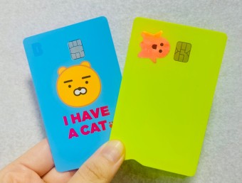 신용카드 체크카드