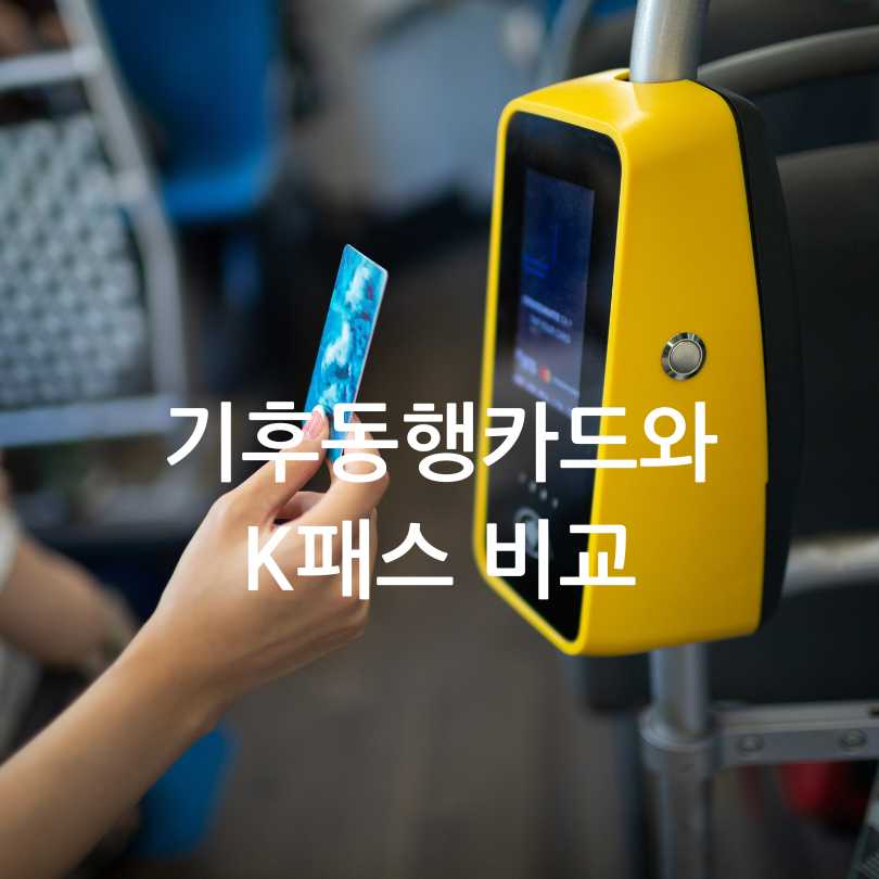 K패스 vs 기후동행카드 비교