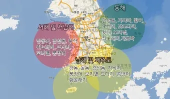 낚시 시즌별 대상어 봄 감성돔 여름 전어 가을 갈치 겨울 빙어_7