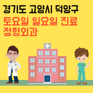 경기도 고양시 덕양구 일요일 정형외과 진료 병원 리스트