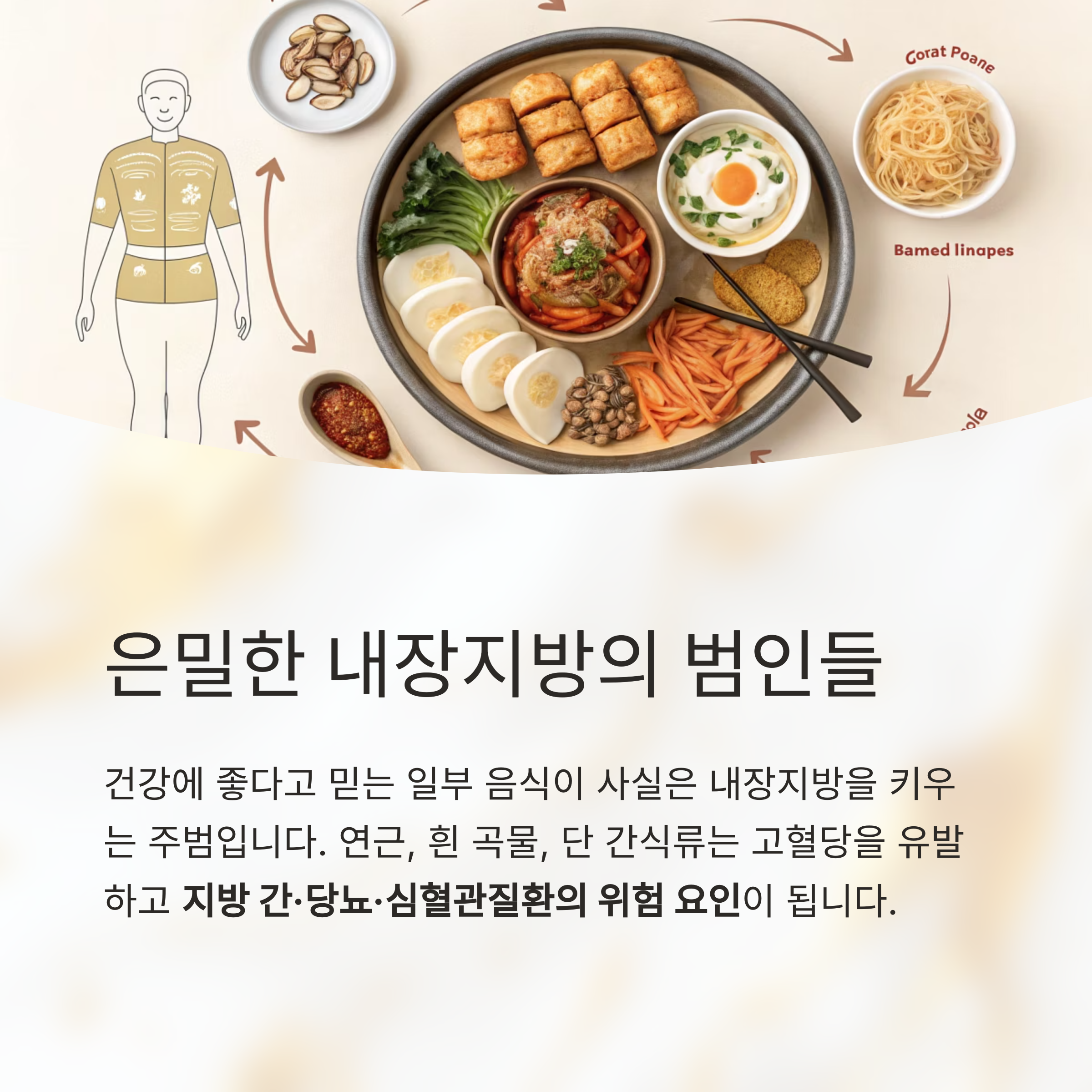 은밀한 내장지방의 범인들