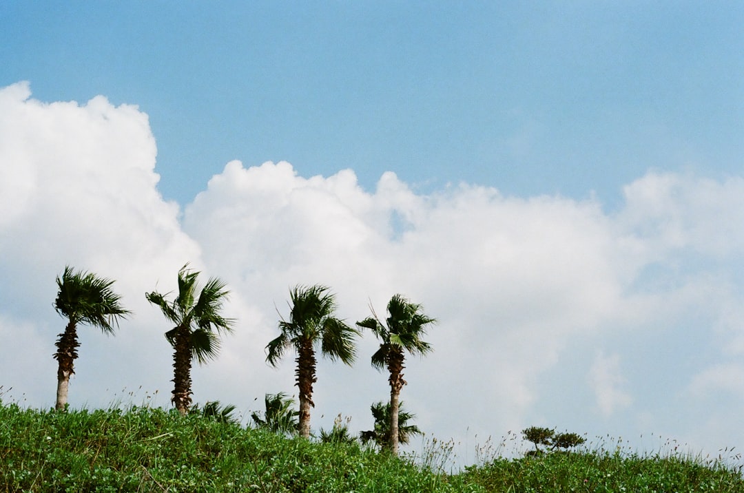 Jeju Island