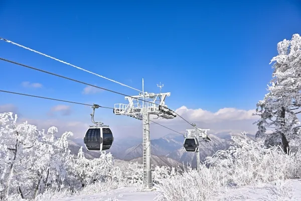 가리왕산 케이블카 예약 운영시간 주차장 할인_2