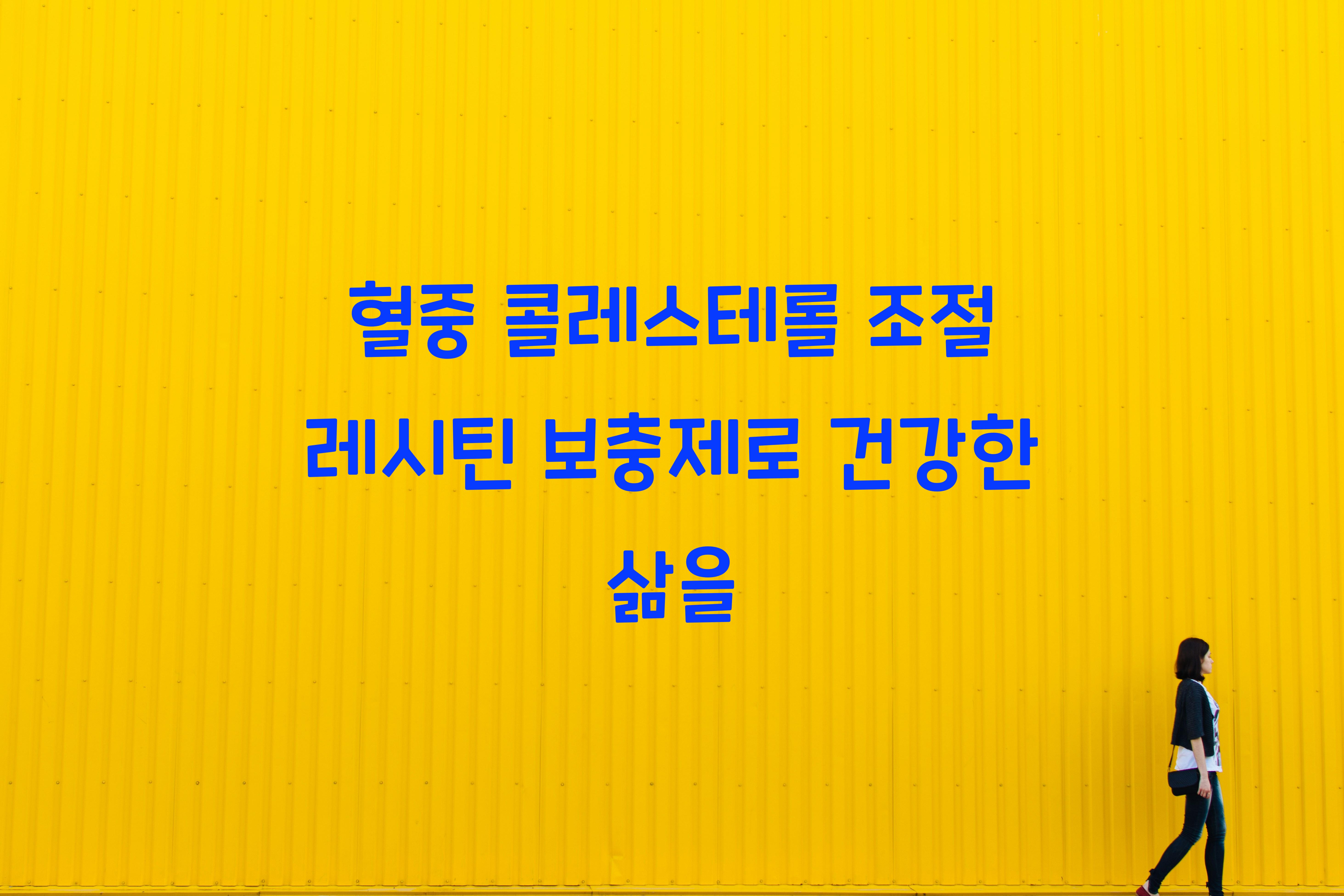 혈중 콜레스테롤 조절 레시틴 보충제