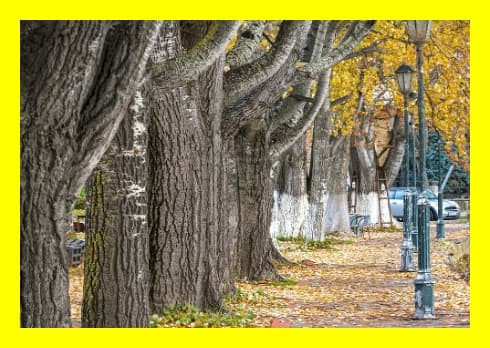 K-ESG 자가진단 문항별 해설과 작성 요령 (2025 최신판)