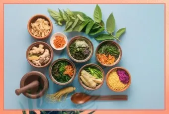 씨앗 저장법 건조 저온 밀봉 발아율 유지 교체 주기_27