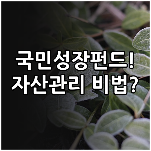 KB증권 국민성장펀드 가입 절차 및 ..