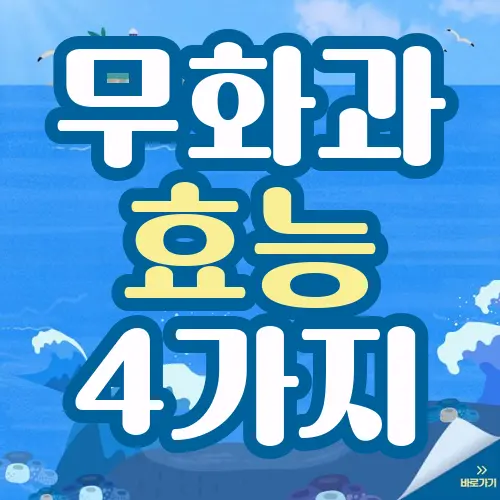무화과효능