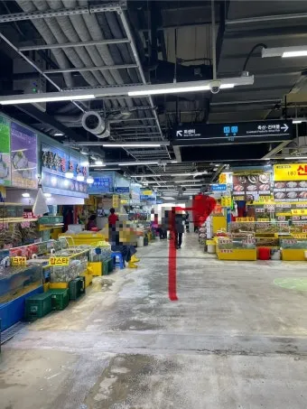 가락시장 맛집 회센터 수산시장 꽃게_5