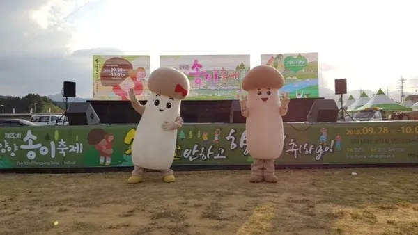 양양 송이연어축제 3년 만에 다시 개최 일정 총정리_8