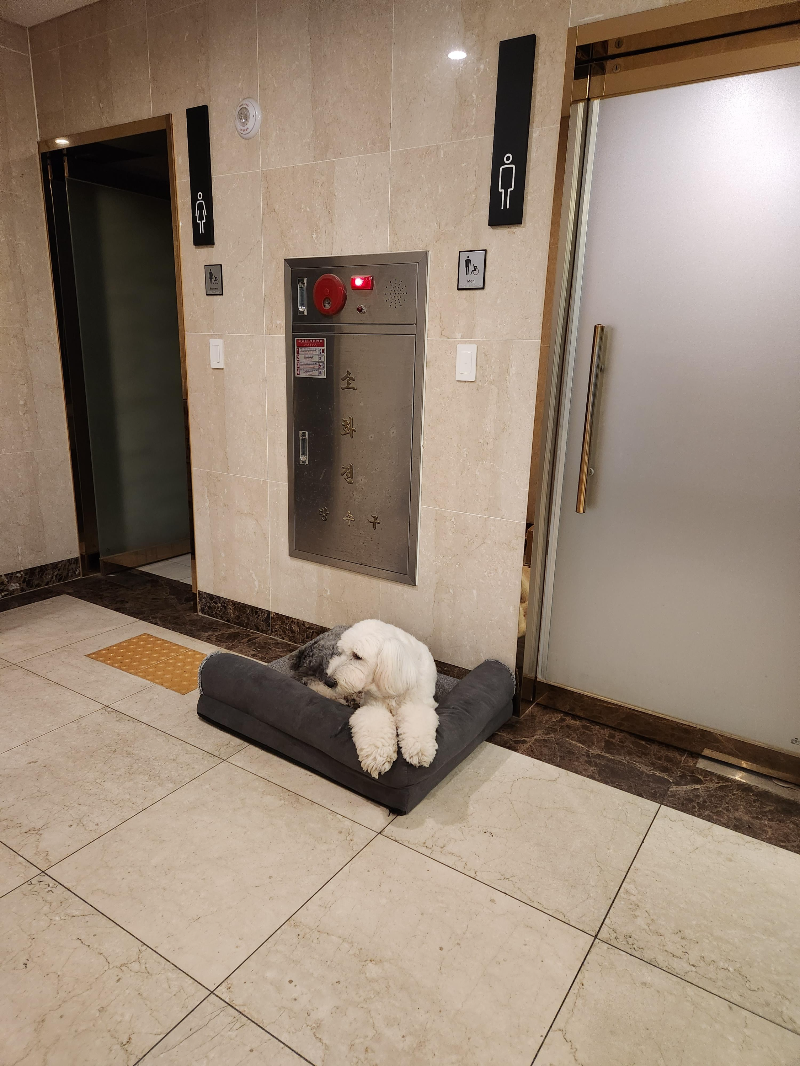 파주 조식가능한 골든힐호텔