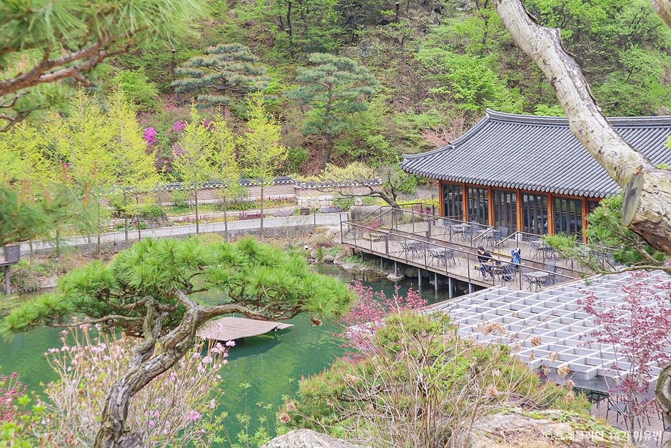 서울 근교 힐링여행 화담숲🌿예약 방법