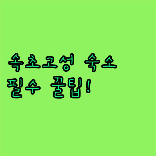 반려견 동반 가능한 속초 고성 숙소 ..