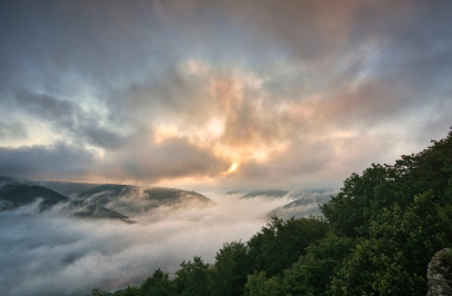 아침을 여는 작은 행복