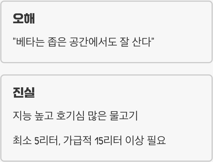 작은 컵 속의 투사, 그 오해와 진실