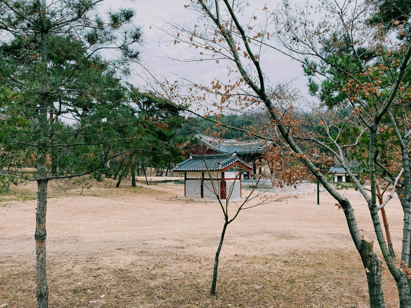 영월관광센터 정보 이미지