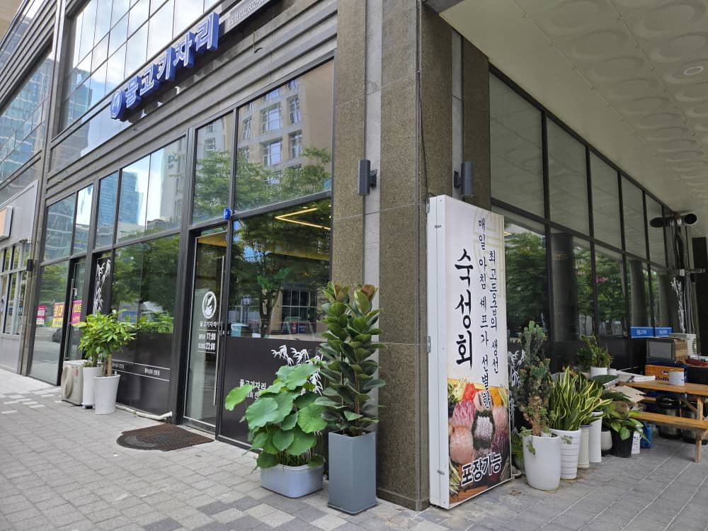 송도 물고기자리