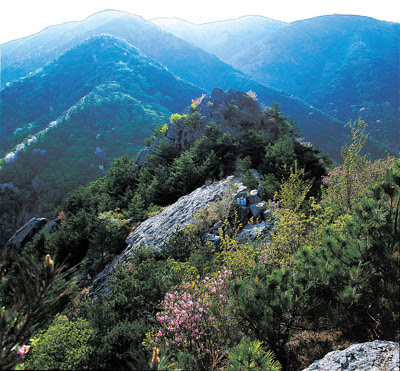 무학산 등산코스