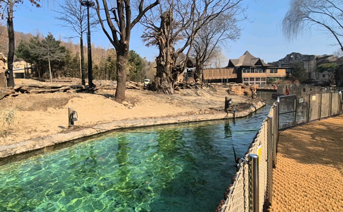 리버트레일 사진