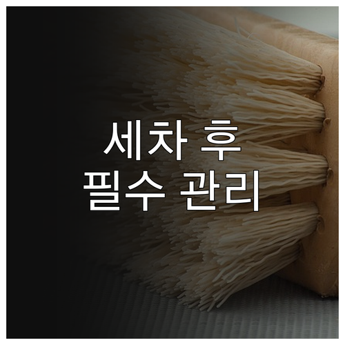 자전거 오래 타려면 세차 후 이렇게 ..