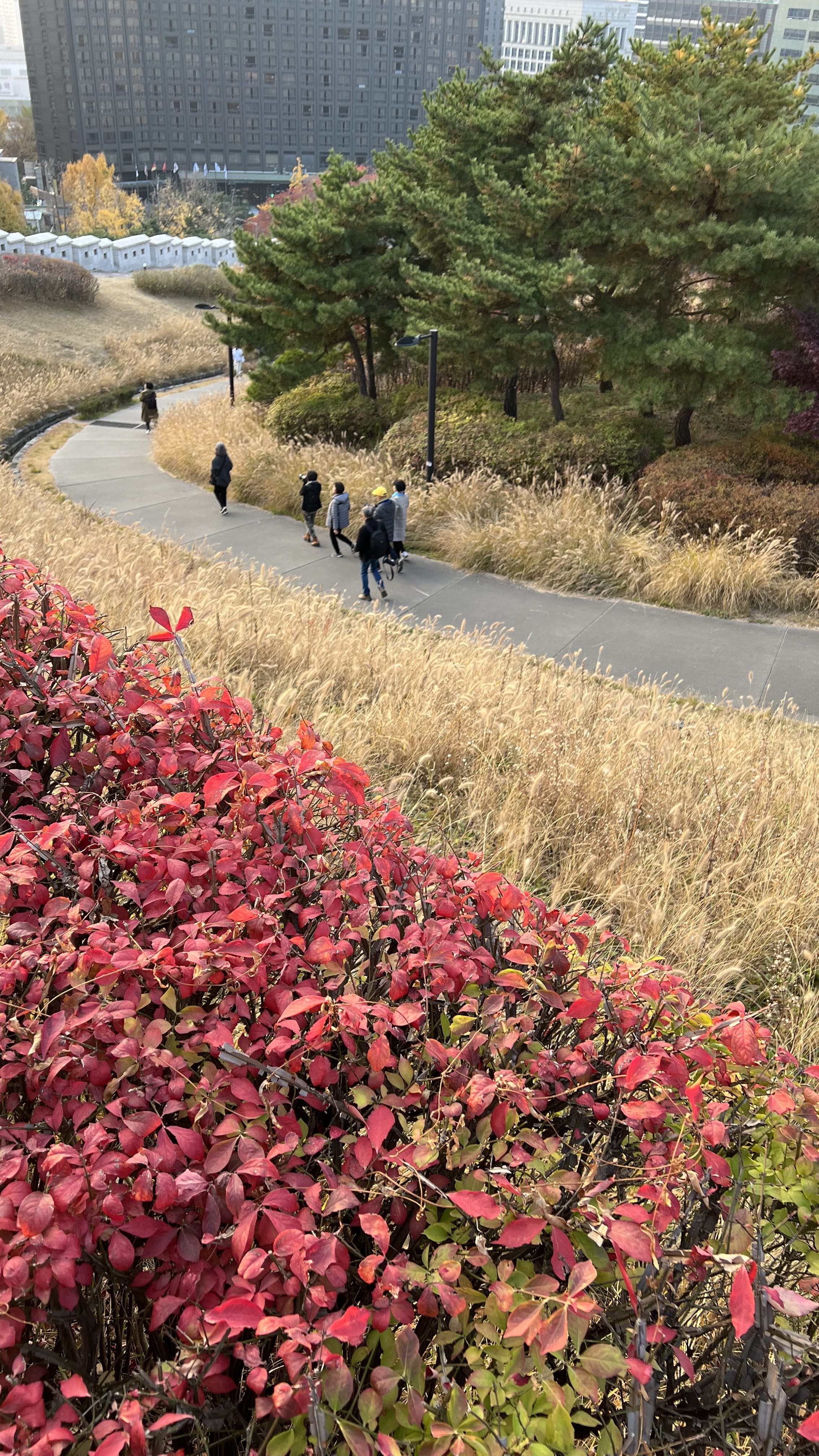 가을 남산공원 백범광장 산책