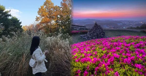 오산 가볼만한곳 맛집 카페 추천 반려견 사진 명소_2
