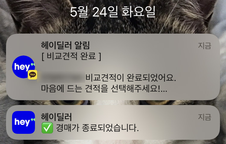 헤이딜러 후기