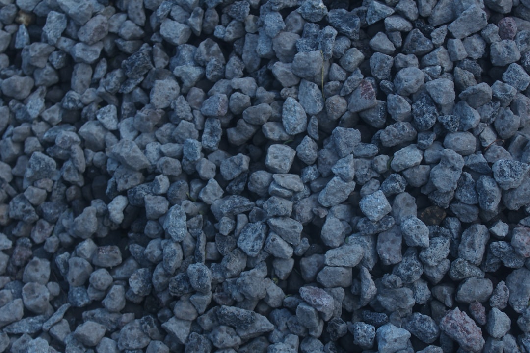 Blue Carbon