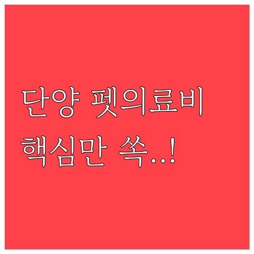 단양군 반려동물 의료비 지원 신청 자..