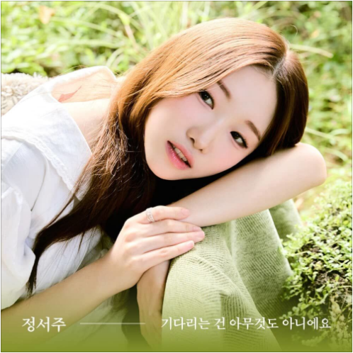 정서주 기다리는 건 아무것도 아니에요 앨범 사진