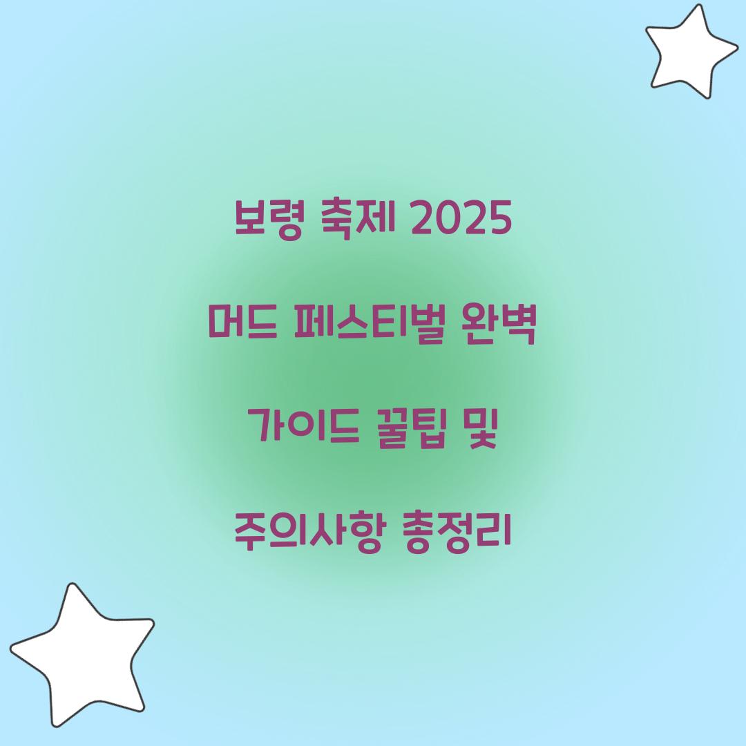 보령 축제 2025 머드 페스티벌