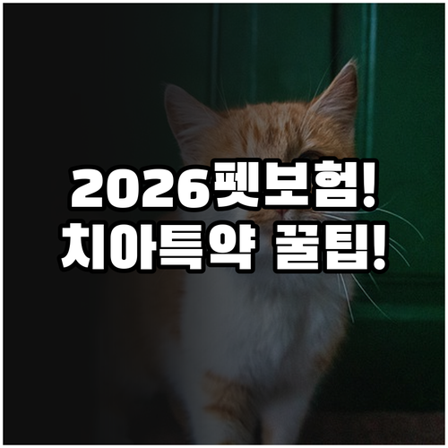 2026년 펫보험 치아 특약 비교 및..