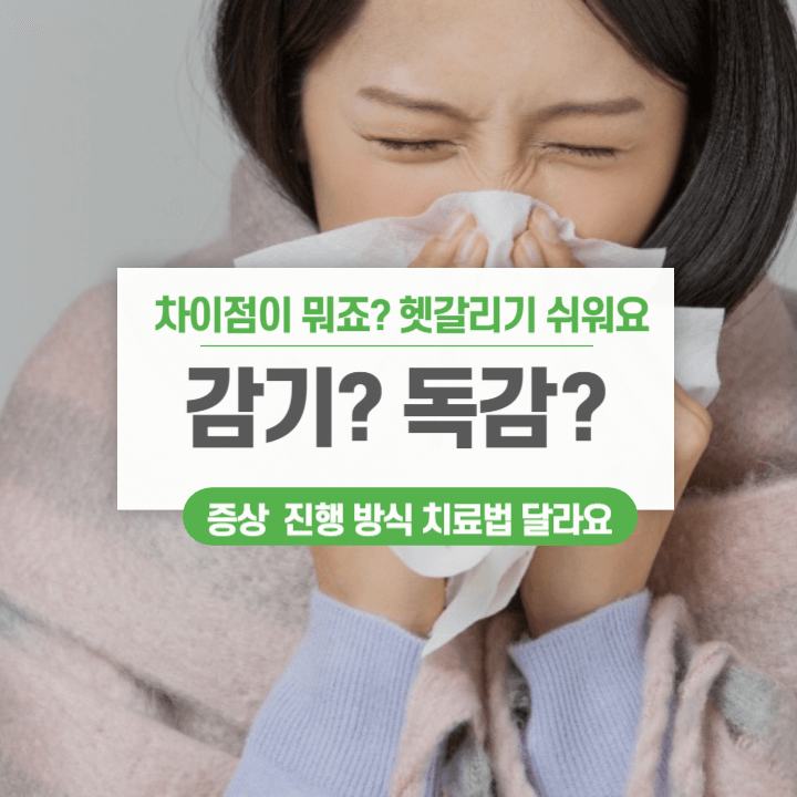 인플루엔자 예방접종