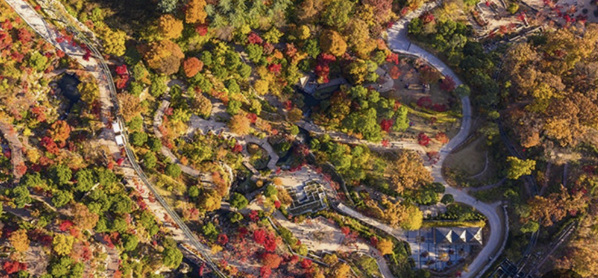화담숲 예약하기 홈페이지 입장료 주변 맛집 모노레일 단풍 절정시기 꿀팁