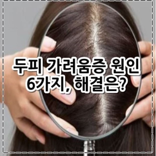 두피 가려움증 원인 6가지, 해결법