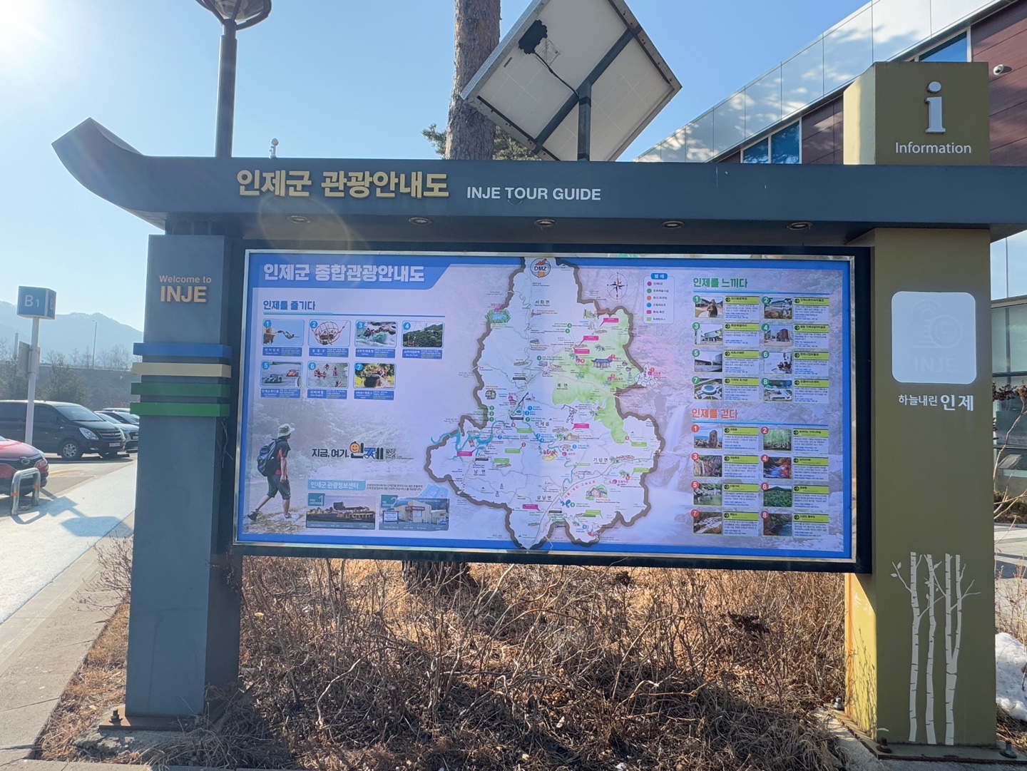 인제 자작나무숲