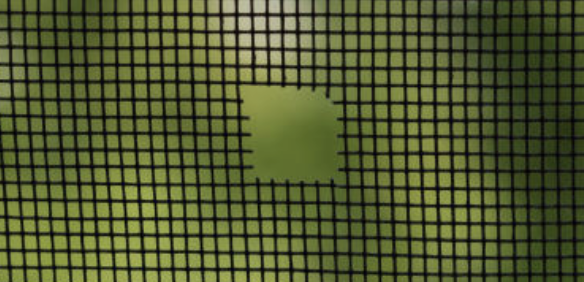 방충망 교체비용&amp;#44; 방충망 셀프교체&amp;#44; 아파트 방충망 교체비용&amp;#44; 방충망 교체방법&amp;#44; 방충망 설치&amp;#44; 방충망 가격&amp;#44; 미세 방충망 가격&amp;#44; 현관 방충망 설치 가격&amp;#44; 베란다 방충망 교체비용&amp;#44; 롤 방충망 가격&amp;#44; 롤 방충망 교체&amp;#44; 방충망 문&amp;#44; 창문 방충망 교체&amp;#44; 창문 방충망 비용&amp;#44; 창문 방충망 설치팁&amp;#44; 방충망 교체비용&amp;#44; 방충망 셀프교체&amp;#44; 아파트 방충망 교체비용&amp;#44; 방충망 교체방법&amp;#44; 방충망 설치&amp;#44; 방충망 가격&amp;#44; 미세 방충망 가격&amp;#44; 현관 방충망 설치 가격&amp;#44; 베란다 방충망 교체비용&amp;#44; 롤 방충망 가격&amp;#44; 롤 방충망 교체&amp;#44; 방충망 문&amp;#44; 창문 방충망 교체&amp;#44; 창문 방충망 비용&amp;#44; 창문 방충망 설치팁&amp;#44; 방충망 교체비용&amp;#44; 방충망 셀프교체&amp;#44; 아파트 방충망 교체비용&amp;#44; 방충망 교체방법&amp;#44; 방충망 설치&amp;#44; 방충망 가격&amp;#44; 미세 방충망 가격&amp;#44; 현관 방충망 설치 가격&amp;#44; 베란다 방충망 교체비용&amp;#44; 롤 방충망 가격&amp;#44; 롤 방충망 교체&amp;#44; 방충망 문&amp;#44; 창문 방충망 교체&amp;#44; 창문 방충망 비용&amp;#44; 창문 방충망 설치팁&amp;#44; 방충망 교체비용&amp;#44; 방충망 셀프교체&amp;#44; 아파트 방충망 교체비용&amp;#44; 방충망 교체방법&amp;#44; 방충망 설치&amp;#44; 방충망 가격&amp;#44; 미세 방충망 가격&amp;#44; 현관 방충망 설치 가격&amp;#44; 베란다 방충망 교체비용&amp;#44; 롤 방충망 가격&amp;#44; 롤 방충망 교체&amp;#44; 방충망 문&amp;#44; 창문 방충망 교체&amp;#44; 창문 방충망 비용&amp;#44; 창문 방충망 설치팁&amp;#44; 방충망 교체비용&amp;#44; 방충망 셀프교체&amp;#44; 아파트 방충망 교체비용&amp;#44; 방충망 교체방법&amp;#44; 방충망 설치&amp;#44; 방충망 가격&amp;#44; 미세 방충망 가격&amp;#44; 현관 방충망 설치 가격&amp;#44; 베란다 방충망 교체비용&amp;#44; 롤 방충망 가격&amp;#44; 롤 방충망 교체&amp;#44; 방충망 문&amp;#44; 창문 방충망 교체&amp;#44; 창문 방충망 비용&amp;#44; 창문 방충망 설치팁&amp;#44; 방충망 교체비용&amp;#44; 방충망 셀프교체&amp;#44; 아파트 방충망 교체비용&amp;#44; 방충망 교체방법&amp;#44; 방충망 설치&amp;#44; 방충망 가격&amp;#44; 미세 방충망 가격&amp;#44; 현관 방충망 설치 가격&amp;#44; 베란다 방충망 교체비용&amp;#44; 롤 방충망 가격&amp;#44; 롤 방충망 교체&amp;#44; 방충망 문&amp;#44; 창문 방충망 교체&amp;#44; 창문 방충망 비용&amp;#44; 창문 방충망 설치팁&amp;#44; 방충망 교체비용&amp;#44; 방충망 셀프교체&amp;#44; 아파트 방충망 교체비용&amp;#44; 방충망 교체방법&amp;#44; 방충망 설치&amp;#44; 방충망 가격&amp;#44; 미세 방충망 가격&amp;#44; 현관 방충망 설치 가격&amp;#44; 베란다 방충망 교체비용&amp;#44; 롤 방충망 가격&amp;#44; 롤 방충망 교체&amp;#44; 방충망 문&amp;#44; 창문 방충망 교체&amp;#44; 창문 방충망 비용&amp;#44; 창문 방충망 설치팁&amp;#44; 방충망 교체비용&amp;#44; 방충망 셀프교체&amp;#44; 아파트 방충망 교체비용&amp;#44; 방충망 교체방법&amp;#44; 방충망 설치&amp;#44; 방충망 가격&amp;#44; 미세 방충망 가격&amp;#44; 현관 방충망 설치 가격&amp;#44; 베란다 방충망 교체비용&amp;#44; 롤 방충망 가격&amp;#44; 롤 방충망 교체&amp;#44; 방충망 문&amp;#44; 창문 방충망 교체&amp;#44; 창문 방충망 비용&amp;#44; 창문 방충망 설치팁&amp;#44; 방충망 교체비용&amp;#44; 방충망 셀프교체&amp;#44; 아파트 방충망 교체비용&amp;#44; 방충망 교체방법&amp;#44; 방충망 설치&amp;#44; 방충망 가격&amp;#44; 미세 방충망 가격&amp;#44; 현관 방충망 설치 가격&amp;#44; 베란다 방충망 교체비용&amp;#44; 롤 방충망 가격&amp;#44; 롤 방충망 교체&amp;#44; 방충망 문&amp;#44; 창문 방충망 교체&amp;#44; 창문 방충망 비용&amp;#44; 창문 방충망 설치팁&amp;#44; 방충망 교체비용&amp;#44; 방충망 셀프교체&amp;#44; 아파트 방충망 교체비용&amp;#44; 방충망 교체방법&amp;#44; 방충망 설치&amp;#44; 방충망 가격&amp;#44; 미세 방충망 가격&amp;#44; 현관 방충망 설치 가격&amp;#44; 베란다 방충망 교체비용&amp;#44; 롤 방충망 가격&amp;#44; 롤 방충망 교체&amp;#44; 방충망 문&amp;#44; 창문 방충망 교체&amp;#44; 창문 방충망 비용&amp;#44; 창문 방충망 설치팁&amp;#44; 방충망 교체비용&amp;#44; 방충망 셀프교체&amp;#44; 아파트 방충망 교체비용&amp;#44; 방충망 교체방법&amp;#44; 방충망 설치&amp;#44; 방충망 가격&amp;#44; 미세 방충망 가격&amp;#44; 현관 방충망 설치 가격&amp;#44; 베란다 방충망 교체비용&amp;#44; 롤 방충망 가격&amp;#44; 롤 방충망 교체&amp;#44; 방충망 문&amp;#44; 창문 방충망 교체&amp;#44; 창문 방충망 비용&amp;#44; 창문 방충망 설치팁&amp;#44; 방충망 교체비용&amp;#44; 방충망 셀프교체&amp;#44; 아파트 방충망 교체비용&amp;#44; 방충망 교체방법&amp;#44; 방충망 설치&amp;#44; 방충망 가격&amp;#44; 미세 방충망 가격&amp;#44; 현관 방충망 설치 가격&amp;#44; 베란다 방충망 교체비용&amp;#44; 롤 방충망 가격&amp;#44; 롤 방충망 교체&amp;#44; 방충망 문&amp;#44; 창문 방충망 교체&amp;#44; 창문 방충망 비용&amp;#44; 창문 방충망 설치팁&amp;#44; 방충망 교체비용&amp;#44; 방충망 셀프교체&amp;#44; 아파트 방충망 교체비용&amp;#44; 방충망 교체방법&amp;#44; 방충망 설치&amp;#44; 방충망 가격&amp;#44; 미세 방충망 가격&amp;#44; 현관 방충망 설치 가격&amp;#44; 베란다 방충망 교체비용&amp;#44; 롤 방충망 가격&amp;#44; 롤 방충망 교체&amp;#44; 방충망 문&amp;#44; 창문 방충망 교체&amp;#44; 창문 방충망 비용&amp;#44; 창문 방충망 설치팁&amp;#44; 방충망 교체비용&amp;#44; 방충망 셀프교체&amp;#44; 아파트 방충망 교체비용&amp;#44; 방충망 교체방법&amp;#44; 방충망 설치&amp;#44; 방충망 가격&amp;#44; 미세 방충망 가격&amp;#44; 현관 방충망 설치 가격&amp;#44; 베란다 방충망 교체비용&amp;#44; 롤 방충망 가격&amp;#44; 롤 방충망 교체&amp;#44; 방충망 문&amp;#44; 창문 방충망 교체&amp;#44; 창문 방충망 비용&amp;#44; 창문 방충망 설치팁&amp;#44; 방충망 교체비용&amp;#44; 방충망 셀프교체&amp;#44; 아파트 방충망 교체비용&amp;#44; 방충망 교체방법&amp;#44; 방충망 설치&amp;#44; 방충망 가격&amp;#44; 미세 방충망 가격&amp;#44; 현관 방충망 설치 가격&amp;#44; 베란다 방충망 교체비용&amp;#44; 롤 방충망 가격&amp;#44; 롤 방충망 교체&amp;#44; 방충망 문&amp;#44; 창문 방충망 교체&amp;#44; 창문 방충망 비용&amp;#44; 창문 방충망 설치팁&amp;#44; 방충망 교체비용&amp;#44; 방충망 셀프교체&amp;#44; 아파트 방충망 교체비용&amp;#44; 방충망 교체방법&amp;#44; 방충망 설치&amp;#44; 방충망 가격&amp;#44; 미세 방충망 가격&amp;#44; 현관 방충망 설치 가격&amp;#44; 베란다 방충망 교체비용&amp;#44; 롤 방충망 가격&amp;#44; 롤 방충망 교체&amp;#44; 방충망 문&amp;#44; 창문 방충망 교체&amp;#44; 창문 방충망 비용&amp;#44; 창문 방충망 설치팁&amp;#44; 방충망 교체비용&amp;#44; 방충망 셀프교체&amp;#44; 아파트 방충망 교체비용&amp;#44; 방충망 교체방법&amp;#44; 방충망 설치&amp;#44; 방충망 가격&amp;#44; 미세 방충망 가격&amp;#44; 현관 방충망 설치 가격&amp;#44; 베란다 방충망 교체비용&amp;#44; 롤 방충망 가격&amp;#44; 롤 방충망 교체&amp;#44; 방충망 문&amp;#44; 창문 방충망 교체&amp;#44; 창문 방충망 비용&amp;#44; 창문 방충망 설치팁&amp;#44; 방충망 교체비용&amp;#44; 방충망 셀프교체&amp;#44; 아파트 방충망 교체비용&amp;#44; 방충망 교체방법&amp;#44; 방충망 설치&amp;#44; 방충망 가격&amp;#44; 미세 방충망 가격&amp;#44; 현관 방충망 설치 가격&amp;#44; 베란다 방충망 교체비용&amp;#44; 롤 방충망 가격&amp;#44; 롤 방충망 교체&amp;#44; 방충망 문&amp;#44; 창문 방충망 교체&amp;#44; 창문 방충망 비용&amp;#44; 창문 방충망 설치팁&amp;#44; 방충망 교체비용&amp;#44; 방충망 셀프교체&amp;#44; 아파트 방충망 교체비용&amp;#44; 방충망 교체방법&amp;#44; 방충망 설치&amp;#44; 방충망 가격&amp;#44; 미세 방충망 가격&amp;#44; 현관 방충망 설치 가격&amp;#44; 베란다 방충망 교체비용&amp;#44; 롤 방충망 가격&amp;#44; 롤 방충망 교체&amp;#44; 방충망 문&amp;#44; 창문 방충망 교체&amp;#44; 창문 방충망 비용&amp;#44; 창문 방충망 설치팁&amp;#44; 방충망 교체비용&amp;#44; 방충망 셀프교체&amp;#44; 아파트 방충망 교체비용&amp;#44; 방충망 교체방법&amp;#44; 방충망 설치&amp;#44; 방충망 가격&amp;#44; 미세 방충망 가격&amp;#44; 현관 방충망 설치 가격&amp;#44; 베란다 방충망 교체비용&amp;#44; 롤 방충망 가격&amp;#44; 롤 방충망 교체&amp;#44; 방충망 문&amp;#44; 창문 방충망 교체&amp;#44; 창문 방충망 비용&amp;#44; 창문 방충망 설치팁&amp;#44; 방충망 교체비용&amp;#44; 방충망 셀프교체&amp;#44; 아파트 방충망 교체비용&amp;#44; 방충망 교체방법&amp;#44; 방충망 설치&amp;#44; 방충망 가격&amp;#44; 미세 방충망 가격&amp;#44; 현관 방충망 설치 가격&amp;#44; 베란다 방충망 교체비용&amp;#44; 롤 방충망 가격&amp;#44; 롤 방충망 교체&amp;#44; 방충망 문&amp;#44; 창문 방충망 교체&amp;#44; 창문 방충망 비용&amp;#44; 창문 방충망 설치팁&amp;#44; 방충망 교체비용&amp;#44; 방충망 셀프교체&amp;#44; 아파트 방충망 교체비용&amp;#44; 방충망 교체방법&amp;#44; 방충망 설치&amp;#44; 방충망 가격&amp;#44; 미세 방충망 가격&amp;#44; 현관 방충망 설치 가격&amp;#44; 베란다 방충망 교체비용&amp;#44; 롤 방충망 가격&amp;#44; 롤 방충망 교체&amp;#44; 방충망 문&amp;#44; 창문 방충망 교체&amp;#44; 창문 방충망 비용&amp;#44; 창문 방충망 설치팁&amp;#44; 방충망 교체비용&amp;#44; 방충망 셀프교체&amp;#44; 아파트 방충망 교체비용&amp;#44; 방충망 교체방법&amp;#44; 방충망 설치&amp;#44; 방충망 가격&amp;#44; 미세 방충망 가격&amp;#44; 현관 방충망 설치 가격&amp;#44; 베란다 방충망 교체비용&amp;#44; 롤 방충망 가격&amp;#44; 롤 방충망 교체&amp;#44; 방충망 문&amp;#44; 창문 방충망 교체&amp;#44; 창문 방충망 비용&amp;#44; 창문 방충망 설치팁&amp;#44; 방충망 교체비용&amp;#44; 방충망 셀프교체&amp;#44; 아파트 방충망 교체비용&amp;#44; 방충망 교체방법&amp;#44; 방충망 설치&amp;#44; 방충망 가격&amp;#44; 미세 방충망 가격&amp;#44; 현관 방충망 설치 가격&amp;#44; 베란다 방충망 교체비용&amp;#44; 롤 방충망 가격&amp;#44; 롤 방충망 교체&amp;#44; 방충망 문&amp;#44; 창문 방충망 교체&amp;#44; 창문 방충망 비용&amp;#44; 창문 방충망 설치팁&amp;#44; 방충망 교체비용&amp;#44; 방충망 셀프교체&amp;#44; 아파트 방충망 교체비용&amp;#44; 방충망 교체방법&amp;#44; 방충망 설치&amp;#44; 방충망 가격&amp;#44; 미세 방충망 가격&amp;#44; 현관 방충망 설치 가격&amp;#44; 베란다 방충망 교체비용&amp;#44; 롤 방충망 가격&amp;#44; 롤 방충망 교체&amp;#44; 방충망 문&amp;#44; 창문 방충망 교체&amp;#44; 창문 방충망 비용&amp;#44; 창문 방충망 설치팁&amp;#44; 방충망 교체비용&amp;#44; 방충망 셀프교체&amp;#44; 아파트 방충망 교체비용&amp;#44; 방충망 교체방법&amp;#44; 방충망 설치&amp;#44; 방충망 가격&amp;#44; 미세 방충망 가격&amp;#44; 현관 방충망 설치 가격&amp;#44; 베란다 방충망 교체비용&amp;#44; 롤 방충망 가격&amp;#44; 롤 방충망 교체&amp;#44; 방충망 문&amp;#44; 창문 방충망 교체&amp;#44; 창문 방충망 비용&amp;#44; 창문 방충망 설치팁&amp;#44; 방충망 교체비용&amp;#44; 방충망 셀프교체&amp;#44; 아파트 방충망 교체비용&amp;#44; 방충망 교체방법&amp;#44; 방충망 설치&amp;#44; 방충망 가격&amp;#44; 미세 방충망 가격&amp;#44; 현관 방충망 설치 가격&amp;#44; 베란다 방충망 교체비용&amp;#44; 롤 방충망 가격&amp;#44; 롤 방충망 교체&amp;#44; 방충망 문&amp;#44; 창문 방충망 교체&amp;#44; 창문 방충망 비용&amp;#44; 창문 방충망 설치팁&amp;#44; 방충망 교체비용&amp;#44; 방충망 셀프교체&amp;#44; 아파트 방충망 교체비용&amp;#44; 방충망 교체방법&amp;#44; 방충망 설치&amp;#44; 방충망 가격&amp;#44; 미세 방충망 가격&amp;#44; 현관 방충망 설치 가격&amp;#44; 베란다 방충망 교체비용&amp;#44; 롤 방충망 가격&amp;#44; 롤 방충망 교체&amp;#44; 방충망 문&amp;#44; 창문 방충망 교체&amp;#44; 창문 방충망 비용&amp;#44; 창문 방충망 설치팁&amp;#44; 방충망 교체비용&amp;#44; 방충망 셀프교체&amp;#44; 아파트 방충망 교체비용&amp;#44; 방충망 교체방법&amp;#44; 방충망 설치&amp;#44; 방충망 가격&amp;#44; 미세 방충망 가격&amp;#44; 현관 방충망 설치 가격&amp;#44; 베란다 방충망 교체비용&amp;#44; 롤 방충망 가격&amp;#44; 롤 방충망 교체&amp;#44; 방충망 문&amp;#44; 창문 방충망 교체&amp;#44; 창문 방충망 비용&amp;#44; 창문 방충망 설치팁&amp;#44; 방충망 교체비용&amp;#44; 방충망 셀프교체&amp;#44; 아파트 방충망 교체비용&amp;#44; 방충망 교체방법&amp;#44; 방충망 설치&amp;#44; 방충망 가격&amp;#44; 미세 방충망 가격&amp;#44; 현관 방충망 설치 가격&amp;#44; 베란다 방충망 교체비용&amp;#44; 롤 방충망 가격&amp;#44; 롤 방충망 교체&amp;#44; 방충망 문&amp;#44; 창문 방충망 교체&amp;#44; 창문 방충망 비용&amp;#44; 창문 방충망 설치팁&amp;#44; 방충망 교체비용&amp;#44; 방충망 셀프교체&amp;#44; 아파트 방충망 교체비용&amp;#44; 방충망 교체방법&amp;#44; 방충망 설치&amp;#44; 방충망 가격&amp;#44; 미세 방충망 가격&amp;#44; 현관 방충망 설치 가격&amp;#44; 베란다 방충망 교체비용&amp;#44; 롤 방충망 가격&amp;#44; 롤 방충망 교체&amp;#44; 방충망 문&amp;#44; 창문 방충망 교체&amp;#44; 창문 방충망 비용&amp;#44; 창문 방충망 설치팁&amp;#44; 방충망 교체비용&amp;#44; 방충망 셀프교체&amp;#44; 아파트 방충망 교체비용&amp;#44; 방충망 교체방법&amp;#44; 방충망 설치&amp;#44; 방충망 가격&amp;#44; 미세 방충망 가격&amp;#44; 현관 방충망 설치 가격&amp;#44; 베란다 방충망 교체비용&amp;#44; 롤 방충망 가격&amp;#44; 롤 방충망 교체&amp;#44; 방충망 문&amp;#44; 창문 방충망 교체&amp;#44; 창문 방충망 비용&amp;#44; 창문 방충망 설치팁&amp;#44; 방충망 교체비용&amp;#44; 방충망 셀프교체&amp;#44; 아파트 방충망 교체비용&amp;#44; 방충망 교체방법&amp;#44; 방충망 설치&amp;#44; 방충망 가격&amp;#44; 미세 방충망 가격&amp;#44; 현관 방충망 설치 가격&amp;#44; 베란다 방충망 교체비용&amp;#44; 롤 방충망 가격&amp;#44; 롤 방충망 교체&amp;#44; 방충망 문&amp;#44; 창문 방충망 교체&amp;#44; 창문 방충망 비용&amp;#44; 창문 방충망 설치팁&amp;#44; 방충망 교체비용&amp;#44; 방충망 셀프교체&amp;#44; 아파트 방충망 교체비용&amp;#44; 방충망 교체방법&amp;#44; 방충망 설치&amp;#44; 방충망 가격&amp;#44; 미세 방충망 가격&amp;#44; 현관 방충망 설치 가격&amp;#44; 베란다 방충망 교체비용&amp;#44; 롤 방충망 가격&amp;#44; 롤 방충망 교체&amp;#44; 방충망 문&amp;#44; 창문 방충망 교체&amp;#44; 창문 방충망 비용&amp;#44; 창문 방충망 설치팁&amp;#44; 방충망 교체비용&amp;#44; 방충망 셀프교체&amp;#44; 아파트 방충망 교체비용&amp;#44; 방충망 교체방법&amp;#44; 방충망 설치&amp;#44; 방충망 가격&amp;#44; 미세 방충망 가격&amp;#44; 현관 방충망 설치 가격&amp;#44; 베란다 방충망 교체비용&amp;#44; 롤 방충망 가격&amp;#44; 롤 방충망 교체&amp;#44; 방충망 문&amp;#44; 창문 방충망 교체&amp;#44; 창문 방충망 비용&amp;#44; 창문 방충망 설치팁&amp;#44; 방충망 교체비용&amp;#44; 방충망 셀프교체&amp;#44; 아파트 방충망 교체비용&amp;#44; 방충망 교체방법&amp;#44; 방충망 설치&amp;#44; 방충망 가격&amp;#44; 미세 방충망 가격&amp;#44; 현관 방충망 설치 가격&amp;#44; 베란다 방충망 교체비용&amp;#44; 롤 방충망 가격&amp;#44; 롤 방충망 교체&amp;#44; 방충망 문&amp;#44; 창문 방충망 교체&amp;#44; 창문 방충망 비용&amp;#44; 창문 방충망 설치팁&amp;#44; 방충망 교체비용&amp;#44; 방충망 셀프교체&amp;#44; 아파트 방충망 교체비용&amp;#44; 방충망 교체방법&amp;#44; 방충망 설치&amp;#44; 방충망 가격&amp;#44; 미세 방충망 가격&amp;#44; 현관 방충망 설치 가격&amp;#44; 베란다 방충망 교체비용&amp;#44; 롤 방충망 가격&amp;#44; 롤 방충망 교체&amp;#44; 방충망 문&amp;#44; 창문 방충망 교체&amp;#44; 창문 방충망 비용&amp;#44; 창문 방충망 설치팁&amp;#44; 방충망 교체비용&amp;#44; 방충망 셀프교체&amp;#44; 아파트 방충망 교체비용&amp;#44; 방충망 교체방법&amp;#44; 방충망 설치&amp;#44; 방충망 가격&amp;#44; 미세 방충망 가격&amp;#44; 현관 방충망 설치 가격&amp;#44; 베란다 방충망 교체비용&amp;#44; 롤 방충망 가격&amp;#44; 롤 방충망 교체&amp;#44; 방충망 문&amp;#44; 창문 방충망 교체&amp;#44; 창문 방충망 비용&amp;#44; 창문 방충망 설치팁&amp;#44; 방충망 교체비용&amp;#44; 방충망 셀프교체&amp;#44; 아파트 방충망 교체비용&amp;#44; 방충망 교체방법&amp;#44; 방충망 설치&amp;#44; 방충망 가격&amp;#44; 미세 방충망 가격&amp;#44; 현관 방충망 설치 가격&amp;#44; 베란다 방충망 교체비용&amp;#44; 롤 방충망 가격&amp;#44; 롤 방충망 교체&amp;#44; 방충망 문&amp;#44; 창문 방충망 교체&amp;#44; 창문 방충망 비용&amp;#44; 창문 방충망 설치팁&amp;#44; 방충망 교체비용&amp;#44; 방충망 셀프교체&amp;#44; 아파트 방충망 교체비용&amp;#44; 방충망 교체방법&amp;#44; 방충망 설치&amp;#44; 방충망 가격&amp;#44; 미세 방충망 가격&amp;#44; 현관 방충망 설치 가격&amp;#44; 베란다 방충망 교체비용&amp;#44; 롤 방충망 가격&amp;#44; 롤 방충망 교체&amp;#44; 방충망 문&amp;#44; 창문 방충망 교체&amp;#44; 창문 방충망 비용&amp;#44; 창문 방충망 설치팁&amp;#44; 방충망 교체비용&amp;#44; 방충망 셀프교체&amp;#44; 아파트 방충망 교체비용&amp;#44; 방충망 교체방법&amp;#44; 방충망 설치&amp;#44; 방충망 가격&amp;#44; 미세 방충망 가격&amp;#44; 현관 방충망 설치 가격&amp;#44; 베란다 방충망 교체비용&amp;#44; 롤 방충망 가격&amp;#44; 롤 방충망 교체&amp;#44; 방충망 문&amp;#44; 창문 방충망 교체&amp;#44; 창문 방충망 비용&amp;#44; 창문 방충망 설치팁&amp;#44; 방충망 교체비용&amp;#44; 방충망 셀프교체&amp;#44; 아파트 방충망 교체비용&amp;#44; 방충망 교체방법&amp;#44; 방충망 설치&amp;#44; 방충망 가격&amp;#44; 미세 방충망 가격&amp;#44; 현관 방충망 설치 가격&amp;#44; 베란다 방충망 교체비용&amp;#44; 롤 방충망 가격&amp;#44; 롤 방충망 교체&amp;#44; 방충망 문&amp;#44; 창문 방충망 교체&amp;#44; 창문 방충망 비용&amp;#44; 창문 방충망 설치팁&amp;#44; 방충망 교체비용&amp;#44; 방충망 셀프교체&amp;#44; 아파트 방충망 교체비용&amp;#44; 방충망 교체방법&amp;#44; 방충망 설치&amp;#44; 방충망 가격&amp;#44; 미세 방충망 가격&amp;#44; 현관 방충망 설치 가격&amp;#44; 베란다 방충망 교체비용&amp;#44; 롤 방충망 가격&amp;#44; 롤 방충망 교체&amp;#44; 방충망 문&amp;#44; 창문 방충망 교체&amp;#44; 창문 방충망 비용&amp;#44; 창문 방충망 설치팁&amp;#44; 방충망 교체비용&amp;#44; 방충망 셀프교체&amp;#44; 아파트 방충망 교체비용&amp;#44; 방충망 교체방법&amp;#44; 방충망 설치&amp;#44; 방충망 가격&amp;#44; 미세 방충망 가격&amp;#44; 현관 방충망 설치 가격&amp;#44; 베란다 방충망 교체비용&amp;#44; 롤 방충망 가격&amp;#44; 롤 방충망 교체&amp;#44; 방충망 문&amp;#44; 창문 방충망 교체&amp;#44; 창문 방충망 비용&amp;#44; 창문 방충망 설치팁&amp;#44; 방충망 교체비용&amp;#44; 방충망 셀프교체&amp;#44; 아파트 방충망 교체비용&amp;#44; 방충망 교체방법&amp;#44; 방충망 설치&amp;#44; 방충망 가격&amp;#44; 미세 방충망 가격&amp;#44; 현관 방충망 설치 가격&amp;#44; 베란다 방충망 교체비용&amp;#44; 롤 방충망 가격&amp;#44; 롤 방충망 교체&amp;#44; 방충망 문&amp;#44; 창문 방충망 교체&amp;#44; 창문 방충망 비용&amp;#44; 창문 방충망 설치팁&amp;#44; 방충망 교체비용&amp;#44; 방충망 셀프교체&amp;#44; 아파트 방충망 교체비용&amp;#44; 방충망 교체방법&amp;#44; 방충망 설치&amp;#44; 방충망 가격&amp;#44; 미세 방충망 가격&amp;#44; 현관 방충망 설치 가격&amp;#44; 베란다 방충망 교체비용&amp;#44; 롤 방충망 가격&amp;#44; 롤 방충망 교체&amp;#44; 방충망 문&amp;#44; 창문 방충망 교체&amp;#44; 창문 방충망 비용&amp;#44; 창문 방충망 설치팁&amp;#44; 방충망 교체비용&amp;#44; 방충망 셀프교체&amp;#44; 아파트 방충망 교체비용&amp;#44; 방충망 교체방법&amp;#44; 방충망 설치&amp;#44; 방충망 가격&amp;#44; 미세 방충망 가격&amp;#44; 현관 방충망 설치 가격&amp;#44; 베란다 방충망 교체비용&amp;#44; 롤 방충망 가격&amp;#44; 롤 방충망 교체&amp;#44; 방충망 문&amp;#44; 창문 방충망 교체&amp;#44; 창문 방충망 비용&amp;#44; 창문 방충망 설치팁&amp;#44; 방충망 교체비용&amp;#44; 방충망 셀프교체&amp;#44; 아파트 방충망 교체비용&amp;#44; 방충망 교체방법&amp;#44; 방충망 설치&amp;#44; 방충망 가격&amp;#44; 미세 방충망 가격&amp;#44; 현관 방충망 설치 가격&amp;#44; 베란다 방충망 교체비용&amp;#44; 롤 방충망 가격&amp;#44; 롤 방충망 교체&amp;#44; 방충망 문&amp;#44; 창문 방충망 교체&amp;#44; 창문 방충망 비용&amp;#44; 창문 방충망 설치팁&amp;#44; 방충망 교체비용&amp;#44; 방충망 셀프교체&amp;#44; 아파트 방충망 교체비용&amp;#44; 방충망 교체방법&amp;#44; 방충망 설치&amp;#44; 방충망 가격&amp;#44; 미세 방충망 가격&amp;#44; 현관 방충망 설치 가격&amp;#44; 베란다 방충망 교체비용&amp;#44; 롤 방충망 가격&amp;#44; 롤 방충망 교체&amp;#44; 방충망 문&amp;#44; 창문 방충망 교체&amp;#44; 창문 방충망 비용&amp;#44; 창문 방충망 설치팁&amp;#44; 방충망 교체비용&amp;#44; 방충망 셀프교체&amp;#44; 아파트 방충망 교체비용&amp;#44; 방충망 교체방법&amp;#44; 방충망 설치&amp;#44; 방충망 가격&amp;#44; 미세 방충망 가격&amp;#44; 현관 방충망 설치 가격&amp;#44; 베란다 방충망 교체비용&amp;#44; 롤 방충망 가격&amp;#44; 롤 방충망 교체&amp;#44; 방충망 문&amp;#44; 창문 방충망 교체&amp;#44; 창문 방충망 비용&amp;#44; 창문 방충망 설치팁&amp;#44; 방충망 교체비용&amp;#44; 방충망 셀프교체&amp;#44; 아파트 방충망 교체비용&amp;#44; 방충망 교체방법&amp;#44; 방충망 설치&amp;#44; 방충망 가격&amp;#44; 미세 방충망 가격&amp;#44; 현관 방충망 설치 가격&amp;#44; 베란다 방충망 교체비용&amp;#44; 롤 방충망 가격&amp;#44; 롤 방충망 교체&amp;#44; 방충망 문&amp;#44; 창문 방충망 교체&amp;#44; 창문 방충망 비용&amp;#44; 창문 방충망 설치팁&amp;#44; 방충망 교체비용&amp;#44; 방충망 셀프교체&amp;#44; 아파트 방충망 교체비용&amp;#44; 방충망 교체방법&amp;#44; 방충망 설치&amp;#44; 방충망 가격&amp;#44; 미세 방충망 가격&amp;#44; 현관 방충망 설치 가격&amp;#44; 베란다 방충망 교체비용&amp;#44; 롤 방충망 가격&amp;#44; 롤 방충망 교체&amp;#44; 방충망 문&amp;#44; 창문 방충망 교체&amp;#44; 창문 방충망 비용&amp;#44; 창문 방충망 설치팁&amp;#44; 방충망 교체비용&amp;#44; 방충망 셀프교체&amp;#44; 아파트 방충망 교체비용&amp;#44; 방충망 교체방법&amp;#44; 방충망 설치&amp;#44; 방충망 가격&amp;#44; 미세 방충망 가격&amp;#44; 현관 방충망 설치 가격&amp;#44; 베란다 방충망 교체비용&amp;#44; 롤 방충망 가격&amp;#44; 롤 방충망 교체&amp;#44; 방충망 문&amp;#44; 창문 방충망 교체&amp;#44; 창문 방충망 비용&amp;#44; 창문 방충망 설치팁&amp;#44; 방충망 교체비용&amp;#44; 방충망 셀프교체&amp;#44; 아파트 방충망 교체비용&amp;#44; 방충망 교체방법&amp;#44; 방충망 설치&amp;#44; 방충망 가격&amp;#44; 미세 방충망 가격&amp;#44; 현관 방충망 설치 가격&amp;#44; 베란다 방충망 교체비용&amp;#44; 롤 방충망 가격&amp;#44; 롤 방충망 교체&amp;#44; 방충망 문&amp;#44; 창문 방충망 교체&amp;#44; 창문 방충망 비용&amp;#44; 창문 방충망 설치팁&amp;#44; 방충망 교체비용&amp;#44; 방충망 셀프교체&amp;#44; 아파트 방충망 교체비용&amp;#44; 방충망 교체방법&amp;#44; 방충망 설치&amp;#44; 방충망 가격&amp;#44; 미세 방충망 가격&amp;#44; 현관 방충망 설치 가격&amp;#44; 베란다 방충망 교체비용&amp;#44; 롤 방충망 가격&amp;#44; 롤 방충망 교체&amp;#44; 방충망 문&amp;#44; 창문 방충망 교체&amp;#44; 창문 방충망 비용&amp;#44; 창문 방충망 설치팁&amp;#44; 방충망 교체비용&amp;#44; 방충망 셀프교체&amp;#44; 아파트 방충망 교체비용&amp;#44; 방충망 교체방법&amp;#44; 방충망 설치&amp;#44; 방충망 가격&amp;#44; 미세 방충망 가격&amp;#44; 현관 방충망 설치 가격&amp;#44; 베란다 방충망 교체비용&amp;#44; 롤 방충망 가격&amp;#44; 롤 방충망 교체&amp;#44; 방충망 문&amp;#44; 창문 방충망 교체&amp;#44; 창문 방충망 비용&amp;#44; 창문 방충망 설치팁&amp;#44; 방충망 교체비용&amp;#44; 방충망 셀프교체&amp;#44; 아파트 방충망 교체비용&amp;#44; 방충망 교체방법&amp;#44; 방충망 설치&amp;#44; 방충망 가격&amp;#44; 미세 방충망 가격&amp;#44; 현관 방충망 설치 가격&amp;#44; 베란다 방충망 교체비용&amp;#44; 롤 방충망 가격&amp;#44; 롤 방충망 교체&amp;#44; 방충망 문&amp;#44; 창문 방충망 교체&amp;#44; 창문 방충망 비용&amp;#44; 창문 방충망 설치팁&amp;#44; 방충망 교체비용&amp;#44; 방충망 셀프교체&amp;#44; 아파트 방충망 교체비용&amp;#44; 방충망 교체방법&amp;#44; 방충망 설치&amp;#44; 방충망 가격&amp;#44; 미세 방충망 가격&amp;#44; 현관 방충망 설치 가격&amp;#44; 베란다 방충망 교체비용&amp;#44; 롤 방충망 가격&amp;#44; 롤 방충망 교체&amp;#44; 방충망 문&amp;#44; 창문 방충망 교체&amp;#44; 창문 방충망 비용&amp;#44; 창문 방충망 설치팁&amp;#44; 방충망 교체비용&amp;#44; 방충망 셀프교체&amp;#44; 아파트 방충망 교체비용&amp;#44; 방충망 교체방법&amp;#44; 방충망 설치&amp;#44; 방충망 가격&amp;#44; 미세 방충망 가격&amp;#44; 현관 방충망 설치 가격&amp;#44; 베란다 방충망 교체비용&amp;#44; 롤 방충망 가격&amp;#44; 롤 방충망 교체&amp;#44; 방충망 문&amp;#44; 창문 방충망 교체&amp;#44; 창문 방충망 비용&amp;#44; 창문 방충망 설치팁&amp;#44; 방충망 교체비용&amp;#44; 방충망 셀프교체&amp;#44; 아파트 방충망 교체비용&amp;#44; 방충망 교체방법&amp;#44; 방충망 설치&amp;#44; 방충망 가격&amp;#44; 미세 방충망 가격&amp;#44; 현관 방충망 설치 가격&amp;#44; 베란다 방충망 교체비용&amp;#44; 롤 방충망 가격&amp;#44; 롤 방충망 교체&amp;#44; 방충망 문&amp;#44; 창문 방충망 교체&amp;#44; 창문 방충망 비용&amp;#44; 창문 방충망 설치팁&amp;#44; 방충망 교체비용&amp;#44; 방충망 셀프교체&amp;#44; 아파트 방충망 교체비용&amp;#44; 방충망 교체방법&amp;#44; 방충망 설치&amp;#44; 방충망 가격&amp;#44; 미세 방충망 가격&amp;#44; 현관 방충망 설치 가격&amp;#44; 베란다 방충망 교체비용&amp;#44; 롤 방충망 가격&amp;#44; 롤 방충망 교체&amp;#44; 방충망 문&amp;#44; 창문 방충망 교체&amp;#44; 창문 방충망 비용&amp;#44; 창문 방충망 설치팁&amp;#44; 방충망 교체비용&amp;#44; 방충망 셀프교체&amp;#44; 아파트 방충망 교체비용&amp;#44; 방충망 교체방법&amp;#44; 방충망 설치&amp;#44; 방충망 가격&amp;#44; 미세 방충망 가격&amp;#44; 현관 방충망 설치 가격&amp;#44; 베란다 방충망 교체비용&amp;#44; 롤 방충망 가격&amp;#44; 롤 방충망 교체&amp;#44; 방충망 문&amp;#44; 창문 방충망 교체&amp;#44; 창문 방충망 비용&amp;#44; 창문 방충망 설치팁&amp;#44; 방충망 교체비용&amp;#44; 방충망 셀프교체&amp;#44; 아파트 방충망 교체비용&amp;#44; 방충망 교체방법&amp;#44; 방충망 설치&amp;#44; 방충망 가격&amp;#44; 미세 방충망 가격&amp;#44; 현관 방충망 설치 가격&amp;#44; 베란다 방충망 교체비용&amp;#44; 롤 방충망 가격&amp;#44; 롤 방충망 교체&amp;#44; 방충망 문&amp;#44; 창문 방충망 교체&amp;#44; 창문 방충망 비용&amp;#44; 창문 방충망 설치팁&amp;#44; 방충망 교체비용&amp;#44; 방충망 셀프교체&amp;#44; 아파트 방충망 교체비용&amp;#44; 방충망 교체방법&amp;#44; 방충망 설치&amp;#44; 방충망 가격&amp;#44; 미세 방충망 가격&amp;#44; 현관 방충망 설치 가격&amp;#44; 베란다 방충망 교체비용&amp;#44; 롤 방충망 가격&amp;#44; 롤 방충망 교체&amp;#44; 방충망 문&amp;#44; 창문 방충망 교체&amp;#44; 창문 방충망 비용&amp;#44; 창문 방충망 설치팁&amp;#44; 방충망 교체비용&amp;#44; 방충망 셀프교체&amp;#44; 아파트 방충망 교체비용&amp;#44; 방충망 교체방법&amp;#44; 방충망 설치&amp;#44; 방충망 가격&amp;#44; 미세 방충망 가격&amp;#44; 현관 방충망 설치 가격&amp;#44; 베란다 방충망 교체비용&amp;#44; 롤 방충망 가격&amp;#44; 롤 방충망 교체&amp;#44; 방충망 문&amp;#44; 창문 방충망 교체&amp;#44; 창문 방충망 비용&amp;#44; 창문 방충망 설치팁&amp;#44; 방충망 교체비용&amp;#44; 방충망 셀프교체&amp;#44; 아파트 방충망 교체비용&amp;#44; 방충망 교체방법&amp;#44; 방충망 설치&amp;#44; 방충망 가격&amp;#44; 미세 방충망 가격&amp;#44; 현관 방충망 설치 가격&amp;#44; 베란다 방충망 교체비용&amp;#44; 롤 방충망 가격&amp;#44; 롤 방충망 교체&amp;#44; 방충망 문&amp;#44; 창문 방충망 교체&amp;#44; 창문 방충망 비용&amp;#44; 창문 방충망 설치팁&amp;#44; 방충망 교체비용&amp;#44; 방충망 셀프교체&amp;#44; 아파트 방충망 교체비용&amp;#44; 방충망 교체방법&amp;#44; 방충망 설치&amp;#44; 방충망 가격&amp;#44; 미세 방충망 가격&amp;#44; 현관 방충망 설치 가격&amp;#44; 베란다 방충망 교체비용&amp;#44; 롤 방충망 가격&amp;#44; 롤 방충망 교체&amp;#44; 방충망 문&amp;#44; 창문 방충망 교체&amp;#44; 창문 방충망 비용&amp;#44; 창문 방충망 설치팁&amp;#44; 방충망 교체비용&amp;#44; 방충망 셀프교체&amp;#44; 아파트 방충망 교체비용&amp;#44; 방충망 교체방법&amp;#44; 방충망 설치&amp;#44; 방충망 가격&amp;#44; 미세 방충망 가격&amp;#44; 현관 방충망 설치 가격&amp;#44; 베란다 방충망 교체비용&amp;#44; 롤 방충망 가격&amp;#44; 롤 방충망 교체&amp;#44; 방충망 문&amp;#44; 창문 방충망 교체&amp;#44; 창문 방충망 비용&amp;#44; 창문 방충망 설치팁&amp;#44; 방충망 교체비용&amp;#44; 방충망 셀프교체&amp;#44; 아파트 방충망 교체비용&amp;#44; 방충망 교체방법&amp;#44; 방충망 설치&amp;#44; 방충망 가격&amp;#44; 미세 방충망 가격&amp;#44; 현관 방충망 설치 가격&amp;#44; 베란다 방충망 교체비용&amp;#44; 롤 방충망 가격&amp;#44; 롤 방충망 교체&amp;#44; 방충망 문&amp;#44; 창문 방충망 교체&amp;#44; 창문 방충망 비용&amp;#44; 창문 방충망 설치팁&amp;#44; 방충망 교체비용&amp;#44; 방충망 셀프교체&amp;#44; 아파트 방충망 교체비용&amp;#44; 방충망 교체방법&amp;#44; 방충망 설치&amp;#44; 방충망 가격&amp;#44; 미세 방충망 가격&amp;#44; 현관 방충망 설치 가격&amp;#44; 베란다 방충망 교체비용&amp;#44; 롤 방충망 가격&amp;#44; 롤 방충망 교체&amp;#44; 방충망 문&amp;#44; 창문 방충망 교체&amp;#44; 창문 방충망 비용&amp;#44; 창문 방충망 설치팁&amp;#44; 방충망 교체비용&amp;#44; 방충망 셀프교체&amp;#44; 아파트 방충망 교체비용&amp;#44; 방충망 교체방법&amp;#44; 방충망 설치&amp;#44; 방충망 가격&amp;#44; 미세 방충망 가격&amp;#44; 현관 방충망 설치 가격&amp;#44; 베란다 방충망 교체비용&amp;#44; 롤 방충망 가격&amp;#44; 롤 방충망 교체&amp;#44; 방충망 문&amp;#44; 창문 방충망 교체&amp;#44; 창문 방충망 비용&amp;#44; 창문 방충망 설치팁&amp;#44; 방충망 교체비용&amp;#44; 방충망 셀프교체&amp;#44; 아파트 방충망 교체비용&amp;#44; 방충망 교체방법&amp;#44; 방충망 설치&amp;#44; 방충망 가격&amp;#44; 미세 방충망 가격&amp;#44; 현관 방충망 설치 가격&amp;#44; 베란다 방충망 교체비용&amp;#44; 롤 방충망 가격&amp;#44; 롤 방충망 교체&amp;#44; 방충망 문&amp;#44; 창문 방충망 교체&amp;#44; 창문 방충망 비용&amp;#44; 창문 방충망 설치팁&amp;#44; 방충망 교체비용&amp;#44; 방충망 셀프교체&amp;#44; 아파트 방충망 교체비용&amp;#44; 방충망 교체방법&amp;#44; 방충망 설치&amp;#44; 방충망 가격&amp;#44; 미세 방충망 가격&amp;#44; 현관 방충망 설치 가격&amp;#44; 베란다 방충망 교체비용&amp;#44; 롤 방충망 가격&amp;#44; 롤 방충망 교체&amp;#44; 방충망 문&amp;#44; 창문 방충망 교체&amp;#44; 창문 방충망 비용&amp;#44; 창문 방충망 설치팁&amp;#44; 방충망 교체비용&amp;#44; 방충망 셀프교체&amp;#44; 아파트 방충망 교체비용&amp;#44; 방충망 교체방법&amp;#44; 방충망 설치&amp;#44; 방충망 가격&amp;#44; 미세 방충망 가격&amp;#44; 현관 방충망 설치 가격&amp;#44; 베란다 방충망 교체비용&amp;#44; 롤 방충망 가격&amp;#44; 롤 방충망 교체&amp;#44; 방충망 문&amp;#44; 창문 방충망 교체&amp;#44; 창문 방충망 비용&amp;#44; 창문 방충망 설치팁&amp;#44; 방충망 교체비용&amp;#44; 방충망 셀프교체&amp;#44; 아파트 방충망 교체비용&amp;#44; 방충망 교체방법&amp;#44; 방충망 설치&amp;#44; 방충망 가격&amp;#44; 미세 방충망 가격&amp;#44; 현관 방충망 설치 가격&amp;#44; 베란다 방충망 교체비용&amp;#44; 롤 방충망 가격&amp;#44; 롤 방충망 교체&amp;#44; 방충망 문&amp;#44; 창문 방충망 교체&amp;#44; 창문 방충망 비용&amp;#44; 창문 방충망 설치팁&amp;#44; 방충망 교체비용&amp;#44; 방충망 셀프교체&amp;#44; 아파트 방충망 교체비용&amp;#44; 방충망 교체방법&amp;#44; 방충망 설치&amp;#44; 방충망 가격&amp;#44; 미세 방충망 가격&amp;#44; 현관 방충망 설치 가격&amp;#44; 베란다 방충망 교체비용&amp;#44; 롤 방충망 가격&amp;#44; 롤 방충망 교체&amp;#44; 방충망 문&amp;#44; 창문 방충망 교체&amp;#44; 창문 방충망 비용&amp;#44; 창문 방충망 설치팁&amp;#44; 방충망 교체비용&amp;#44; 방충망 셀프교체&amp;#44; 아파트 방충망 교체비용&amp;#44; 방충망 교체방법&amp;#44; 방충망 설치&amp;#44; 방충망 가격&amp;#44; 미세 방충망 가격&amp;#44; 현관 방충망 설치 가격&amp;#44; 베란다 방충망 교체비용&amp;#44; 롤 방충망 가격&amp;#44; 롤 방충망 교체&amp;#44; 방충망 문&amp;#44; 창문 방충망 교체&amp;#44; 창문 방충망 비용&amp;#44; 창문 방충망 설치팁&amp;#44; 방충망 교체비용&amp;#44; 방충망 셀프교체&amp;#44; 아파트 방충망 교체비용&amp;#44; 방충망 교체방법&amp;#44; 방충망 설치&amp;#44; 방충망 가격&amp;#44; 미세 방충망 가격&amp;#44; 현관 방충망 설치 가격&amp;#44; 베란다 방충망 교체비용&amp;#44; 롤 방충망 가격&amp;#44; 롤 방충망 교체&amp;#44; 방충망 문&amp;#44; 창문 방충망 교체&amp;#44; 창문 방충망 비용&amp;#44; 창문 방충망 설치팁&amp;#44; 방충망 교체비용&amp;#44; 방충망 셀프교체&amp;#44; 아파트 방충망 교체비용&amp;#44; 방충망 교체방법&amp;#44; 방충망 설치&amp;#44; 방충망 가격&amp;#44; 미세 방충망 가격&amp;#44; 현관 방충망 설치 가격&amp;#44; 베란다 방충망 교체비용&amp;#44; 롤 방충망 가격&amp;#44; 롤 방충망 교체&amp;#44; 방충망 문&amp;#44; 창문 방충망 교체&amp;#44; 창문 방충망 비용&amp;#44; 창문 방충망 설치팁&amp;#44; 방충망 교체비용&amp;#44; 방충망 셀프교체&amp;#44; 아파트 방충망 교체비용&amp;#44; 방충망 교체방법&amp;#44; 방충망 설치&amp;#44; 방충망 가격&amp;#44; 미세 방충망 가격&amp;#44; 현관 방충망 설치 가격&amp;#44; 베란다 방충망 교체비용&amp;#44; 롤 방충망 가격&amp;#44; 롤 방충망 교체&amp;#44; 방충망 문&amp;#44; 창문 방충망 교체&amp;#44; 창문 방충망 비용&amp;#44; 창문 방충망 설치팁&amp;#44; 방충망 교체비용&amp;#44; 방충망 셀프교체&amp;#44; 아파트 방충망 교체비용&amp;#44; 방충망 교체방법&amp;#44; 방충망 설치&amp;#44; 방충망 가격&amp;#44; 미세 방충망 가격&amp;#44; 현관 방충망 설치 가격&amp;#44; 베란다 방충망 교체비용&amp;#44; 롤 방충망 가격&amp;#44; 롤 방충망 교체&amp;#44; 방충망 문&amp;#44; 창문 방충망 교체&amp;#44; 창문 방충망 비용&amp;#44; 창문 방충망 설치팁&amp;#44; 방충망 교체비용&amp;#44; 방충망 셀프교체&amp;#44; 아파트 방충망 교체비용&amp;#44; 방충망 교체방법&amp;#44; 방충망 설치&amp;#44; 방충망 가격&amp;#44; 미세 방충망 가격&amp;#44; 현관 방충망 설치 가격&amp;#44; 베란다 방충망 교체비용&amp;#44; 롤 방충망 가격&amp;#44; 롤 방충망 교체&amp;#44; 방충망 문&amp;#44; 창문 방충망 교체&amp;#44; 창문 방충망 비용&amp;#44; 창문 방충망 설치팁&amp;#44; 방충망 교체비용&amp;#44; 방충망 셀프교체&amp;#44; 아파트 방충망 교체비용&amp;#44; 방충망 교체방법&amp;#44; 방충망 설치&amp;#44; 방충망 가격&amp;#44; 미세 방충망 가격&amp;#44; 현관 방충망 설치 가격&amp;#44; 베란다 방충망 교체비용&amp;#44; 롤 방충망 가격&amp;#44; 롤 방충망 교체&amp;#44; 방충망 문&amp;#44; 창문 방충망 교체&amp;#44; 창문 방충망 비용&amp;#44; 창문 방충망 설치팁&amp;#44; 방충망 교체비용&amp;#44; 방충망 셀프교체&amp;#44; 아파트 방충망 교체비용&amp;#44; 방충망 교체방법&amp;#44; 방충망 설치&amp;#44; 방충망 가격&amp;#44; 미세 방충망 가격&amp;#44; 현관 방충망 설치 가격&amp;#44; 베란다 방충망 교체비용&amp;#44; 롤 방충망 가격&amp;#44; 롤 방충망 교체&amp;#44; 방충망 문&amp;#44; 창문 방충망 교체&amp;#44; 창문 방충망 비용&amp;#44; 창문 방충망 설치팁&amp;#44; 방충망 교체비용&amp;#44; 방충망 셀프교체&amp;#44; 아파트 방충망 교체비용&amp;#44; 방충망 교체방법&amp;#44; 방충망 설치&amp;#44; 방충망 가격&amp;#44; 미세 방충망 가격&amp;#44; 현관 방충망 설치 가격&amp;#44; 베란다 방충망 교체비용&amp;#44; 롤 방충망 가격&amp;#44; 롤 방충망 교체&amp;#44; 방충망 문&amp;#44; 창문 방충망 교체&amp;#44; 창문 방충망 비용&amp;#44; 창문 방충망 설치팁&amp;#44; 방충망 교체비용&amp;#44; 방충망 셀프교체&amp;#44; 아파트 방충망 교체비용&amp;#44; 방충망 교체방법&amp;#44; 방충망 설치&amp;#44; 방충망 가격&amp;#44; 미세 방충망 가격&amp;#44; 현관 방충망 설치 가격&amp;#44; 베란다 방충망 교체비용&amp;#44; 롤 방충망 가격&amp;#44; 롤 방충망 교체&amp;#44; 방충망 문&amp;#44; 창문 방충망 교체&amp;#44; 창문 방충망 비용&amp;#44; 창문 방충망 설치팁&amp;#44; 방충망 교체비용&amp;#44; 방충망 셀프교체&amp;#44; 아파트 방충망 교체비용&amp;#44; 방충망 교체방법&amp;#44; 방충망 설치&amp;#44; 방충망 가격&amp;#44; 미세 방충망 가격&amp;#44; 현관 방충망 설치 가격&amp;#44; 베란다 방충망 교체비용&amp;#44; 롤 방충망 가격&amp;#44; 롤 방충망 교체&amp;#44; 방충망 문&amp;#44; 창문 방충망 교체&amp;#44; 창문 방충망 비용&amp;#44; 창문 방충망 설치팁&amp;#44; 방충망 교체비용&amp;#44; 방충망 셀프교체&amp;#44; 아파트 방충망 교체비용&amp;#44; 방충망 교체방법&amp;#44; 방충망 설치&amp;#44; 방충망 가격&amp;#44; 미세 방충망 가격&amp;#44; 현관 방충망 설치 가격&amp;#44; 베란다 방충망 교체비용&amp;#44; 롤 방충망 가격&amp;#44; 롤 방충망 교체&amp;#44; 방충망 문&amp;#44; 창문 방충망 교체&amp;#44; 창문 방충망 비용&amp;#44; 창문 방충망 설치팁&amp;#44; 방충망 교체비용&amp;#44; 방충망 셀프교체&amp;#44; 아파트 방충망 교체비용&amp;#44; 방충망 교체방법&amp;#44; 방충망 설치&amp;#44; 방충망 가격&amp;#44; 미세 방충망 가격&amp;#44; 현관 방충망 설치 가격&amp;#44; 베란다 방충망 교체비용&amp;#44; 롤 방충망 가격&amp;#44; 롤 방충망 교체&amp;#44; 방충망 문&amp;#44; 창문 방충망 교체&amp;#44; 창문 방충망 비용&amp;#44; 창문 방충망 설치팁&amp;#44; 방충망 교체비용&amp;#44; 방충망 셀프교체&amp;#44; 아파트 방충망 교체비용&amp;#44; 방충망 교체방법&amp;#44; 방충망 설치&amp;#44; 방충망 가격&amp;#44; 미세 방충망 가격&amp;#44; 현관 방충망 설치 가격&amp;#44; 베란다 방충망 교체비용&amp;#44; 롤 방충망 가격&amp;#44; 롤 방충망 교체&amp;#44; 방충망 문&amp;#44; 창문 방충망 교체&amp;#44; 창문 방충망 비용&amp;#44; 창문 방충망 설치팁&amp;#44; 방충망 교체비용&amp;#44; 방충망 셀프교체&amp;#44; 아파트 방충망 교체비용&amp;#44; 방충망 교체방법&amp;#44; 방충망 설치&amp;#44; 방충망 가격&amp;#44; 미세 방충망 가격&amp;#44; 현관 방충망 설치 가격&amp;#44; 베란다 방충망 교체비용&amp;#44; 롤 방충망 가격&amp;#44; 롤 방충망 교체&amp;#44; 방충망 문&amp;#44; 창문 방충망 교체&amp;#44; 창문 방충망 비용&amp;#44; 창문 방충망 설치팁&amp;#44; 방충망 교체비용&amp;#44; 방충망 셀프교체&amp;#44; 아파트 방충망 교체비용&amp;#44; 방충망 교체방법&amp;#44; 방충망 설치&amp;#44; 방충망 가격&amp;#44; 미세 방충망 가격&amp;#44; 현관 방충망 설치 가격&amp;#44; 베란다 방충망 교체비용&amp;#44; 롤 방충망 가격&amp;#44; 롤 방충망 교체&amp;#44; 방충망 문&amp;#44; 창문 방충망 교체&amp;#44; 창문 방충망 비용&amp;#44; 창문 방충망 설치팁&amp;#44; 방충망 교체비용&amp;#44; 방충망 셀프교체&amp;#44; 아파트 방충망 교체비용&amp;#44; 방충망 교체방법&amp;#44; 방충망 설치&amp;#44; 방충망 가격&amp;#44; 미세 방충망 가격&amp;#44; 현관 방충망 설치 가격&amp;#44; 베란다 방충망 교체비용&amp;#44; 롤 방충망 가격&amp;#44; 롤 방충망 교체&amp;#44; 방충망 문&amp;#44; 창문 방충망 교체&amp;#44; 창문 방충망 비용&amp;#44; 창문 방충망 설치팁&amp;#44; 방충망 교체비용&amp;#44; 방충망 셀프교체&amp;#44; 아파트 방충망 교체비용&amp;#44; 방충망 교체방법&amp;#44; 방충망 설치&amp;#44; 방충망 가격&amp;#44; 미세 방충망 가격&amp;#44; 현관 방충망 설치 가격&amp;#44; 베란다 방충망 교체비용&amp;#44; 롤 방충망 가격&amp;#44; 롤 방충망 교체&amp;#44; 방충망 문&amp;#44; 창문 방충망 교체&amp;#44; 창문 방충망 비용&amp;#44; 창문 방충망 설치팁&amp;#44; 방충망 교체비용&amp;#44; 방충망 셀프교체&amp;#44; 아파트 방충망 교체비용&amp;#44; 방충망 교체방법&amp;#44; 방충망 설치&amp;#44; 방충망 가격&amp;#44; 미세 방충망 가격&amp;#44; 현관 방충망 설치 가격&amp;#44; 베란다 방충망 교체비용&amp;#44; 롤 방충망 가격&amp;#44; 롤 방충망 교체&amp;#44; 방충망 문&amp;#44; 창문 방충망 교체&amp;#44; 창문 방충망 비용&amp;#44; 창문 방충망 설치팁&amp;#44; 방충망 교체비용&amp;#44; 방충망 셀프교체&amp;#44; 아파트 방충망 교체비용&amp;#44; 방충망 교체방법&amp;#44; 방충망 설치&amp;#44; 방충망 가격&amp;#44; 미세 방충망 가격&amp;#44; 현관 방충망 설치 가격&amp;#44; 베란다 방충망 교체비용&amp;#44; 롤 방충망 가격&amp;#44; 롤 방충망 교체&amp;#44; 방충망 문&amp;#44; 창문 방충망 교체&amp;#44; 창문 방충망 비용&amp;#44; 창문 방충망 설치팁&amp;#44; 방충망 교체비용&amp;#44; 방충망 셀프교체&amp;#44; 아파트 방충망 교체비용&amp;#44; 방충망 교체방법&amp;#44; 방충망 설치&amp;#44; 방충망 가격&amp;#44; 미세 방충망 가격&amp;#44; 현관 방충망 설치 가격&amp;#44; 베란다 방충망 교체비용&amp;#44; 롤 방충망 가격&amp;#44; 롤 방충망 교체&amp;#44; 방충망 문&amp;#44; 창문 방충망 교체&amp;#44; 창문 방충망 비용&amp;#44; 창문 방충망 설치팁&amp;#44; 방충망 교체비용&amp;#44; 방충망 셀프교체&amp;#44; 아파트 방충망 교체비용&amp;#44; 방충망 교체방법&amp;#44; 방충망 설치&amp;#44; 방충망 가격&amp;#44; 미세 방충망 가격&amp;#44; 현관 방충망 설치 가격&amp;#44; 베란다 방충망 교체비용&amp;#44; 롤 방충망 가격&amp;#44; 롤 방충망 교체&amp;#44; 방충망 문&amp;#44; 창문 방충망 교체&amp;#44; 창문 방충망 비용&amp;#44; 창문 방충망 설치팁&amp;#44; 방충망 교체비용&amp;#44; 방충망 셀프교체&amp;#44; 아파트 방충망 교체비용&amp;#44; 방충망 교체방법&amp;#44; 방충망 설치&amp;#44; 방충망 가격&amp;#44; 미세 방충망 가격&amp;#44; 현관 방충망 설치 가격&amp;#44; 베란다 방충망 교체비용&amp;#44; 롤 방충망 가격&amp;#44; 롤 방충망 교체&amp;#44; 방충망 문&amp;#44; 창문 방충망 교체&amp;#44; 창문 방충망 비용&amp;#44; 창문 방충망 설치팁&amp;#44; 방충망 교체비용&amp;#44; 방충망 셀프교체&amp;#44; 아파트 방충망 교체비용&amp;#44; 방충망 교체방법&amp;#44; 방충망 설치&amp;#44; 방충망 가격&amp;#44; 미세 방충망 가격&amp;#44; 현관 방충망 설치 가격&amp;#44; 베란다 방충망 교체비용&amp;#44; 롤 방충망 가격&amp;#44; 롤 방충망 교체&amp;#44; 방충망 문&amp;#44; 창문 방충망 교체&amp;#44; 창문 방충망 비용&amp;#44; 창문 방충망 설치팁&amp;#44; 방충망 교체비용&amp;#44; 방충망 셀프교체&amp;#44; 아파트 방충망 교체비용&amp;#44; 방충망 교체방법&amp;#44; 방충망 설치&amp;#44; 방충망 가격&amp;#44; 미세 방충망 가격&amp;#44; 현관 방충망 설치 가격&amp;#44; 베란다 방충망 교체비용&amp;#44; 롤 방충망 가격&amp;#44; 롤 방충망 교체&amp;#44; 방충망 문&amp;#44; 창문 방충망 교체&amp;#44; 창문 방충망 비용&amp;#44; 창문 방충망 설치팁&amp;#44; 방충망 교체비용&amp;#44; 방충망 셀프교체&amp;#44; 아파트 방충망 교체비용&amp;#44; 방충망 교체방법&amp;#44; 방충망 설치&amp;#44; 방충망 가격&amp;#44; 미세 방충망 가격&amp;#44; 현관 방충망 설치 가격&amp;#44; 베란다 방충망 교체비용&amp;#44; 롤 방충망 가격&amp;#44; 롤 방충망 교체&amp;#44; 방충망 문&amp;#44; 창문 방충망 교체&amp;#44; 창문 방충망 비용&amp;#44; 창문 방충망 설치팁&amp;#44; 방충망 교체비용&amp;#44; 방충망 셀프교체&amp;#44; 아파트 방충망 교체비용&amp;#44; 방충망 교체방법&amp;#44; 방충망 설치&amp;#44; 방충망 가격&amp;#44; 미세 방충망 가격&amp;#44; 현관 방충망 설치 가격&amp;#44; 베란다 방충망 교체비용&amp;#44; 롤 방충망 가격&amp;#44; 롤 방충망 교체&amp;#44; 방충망 문&amp;#44; 창문 방충망 교체&amp;#44; 창문 방충망 비용&amp;#44; 창문 방충망 설치팁&amp;#44; 방충망 교체비용&amp;#44; 방충망 셀프교체&amp;#44; 아파트 방충망 교체비용&amp;#44; 방충망 교체방법&amp;#44; 방충망 설치&amp;#44; 방충망 가격&amp;#44; 미세 방충망 가격&amp;#44; 현관 방충망 설치 가격&amp;#44; 베란다 방충망 교체비용&amp;#44; 롤 방충망 가격&amp;#44; 롤 방충망 교체&amp;#44; 방충망 문&amp;#44; 창문 방충망 교체&amp;#44; 창문 방충망 비용&amp;#44; 창문 방충망 설치팁&amp;#44; 방충망 교체비용&amp;#44; 방충망 셀프교체&amp;#44; 아파트 방충망 교체비용&amp;#44; 방충망 교체방법&amp;#44; 방충망 설치&amp;#44; 방충망 가격&amp;#44; 미세 방충망 가격&amp;#44; 현관 방충망 설치 가격&amp;#44; 베란다 방충망 교체비용&amp;#44; 롤 방충망 가격&amp;#44; 롤 방충망 교체&amp;#44; 방충망 문&amp;#44; 창문 방충망 교체&amp;#44; 창문 방충망 비용&amp;#44; 창문 방충망 설치팁&amp;#44; 방충망 교체비용&amp;#44; 방충망 셀프교체&amp;#44; 아파트 방충망 교체비용&amp;#44; 방충망 교체방법&amp;#44; 방충망 설치&amp;#44; 방충망 가격&amp;#44; 미세 방충망 가격&amp;#44; 현관 방충망 설치 가격&amp;#44; 베란다 방충망 교체비용&amp;#44; 롤 방충망 가격&amp;#44; 롤 방충망 교체&amp;#44; 방충망 문&amp;#44; 창문 방충망 교체&amp;#44; 창문 방충망 비용&amp;#44; 창문 방충망 설치팁&amp;#44; 방충망 교체비용&amp;#44; 방충망 셀프교체&amp;#44; 아파트 방충망 교체비용&amp;#44; 방충망 교체방법&amp;#44; 방충망 설치&amp;#44; 방충망 가격&amp;#44; 미세 방충망 가격&amp;#44; 현관 방충망 설치 가격&amp;#44; 베란다 방충망 교체비용&amp;#44; 롤 방충망 가격&amp;#44; 롤 방충망 교체&amp;#44; 방충망 문&amp;#44; 창문 방충망 교체&amp;#44; 창문 방충망 비용&amp;#44; 창문 방충망 설치팁&amp;#44; 방충망 교체비용&amp;#44; 방충망 셀프교체&amp;#44; 아파트 방충망 교체비용&amp;#44; 방충망 교체방법&amp;#44; 방충망 설치&amp;#44; 방충망 가격&amp;#44; 미세 방충망 가격&amp;#44; 현관 방충망 설치 가격&amp;#44; 베란다 방충망 교체비용&amp;#44; 롤 방충망 가격&amp;#44; 롤 방충망 교체&amp;#44; 방충망 문&amp;#44; 창문 방충망 교체&amp;#44; 창문 방충망 비용&amp;#44; 창문 방충망 설치팁&amp;#44; 방충망 교체비용&amp;#44; 방충망 셀프교체&amp;#44; 아파트 방충망 교체비용&amp;#44; 방충망 교체방법&amp;#44; 방충망 설치&amp;#44; 방충망 가격&amp;#44; 미세 방충망 가격&amp;#44; 현관 방충망 설치 가격&amp;#44; 베란다 방충망 교체비용&amp;#44; 롤 방충망 가격&amp;#44; 롤 방충망 교체&amp;#44; 방충망 문&amp;#44; 창문 방충망 교체&amp;#44; 창문 방충망 비용&amp;#44; 창문 방충망 설치팁&amp;#44; 방충망 교체비용&amp;#44; 방충망 셀프교체&amp;#44; 아파트 방충망 교체비용&amp;#44; 방충망 교체방법&amp;#44; 방충망 설치&amp;#44; 방충망 가격&amp;#44; 미세 방충망 가격&amp;#44; 현관 방충망 설치 가격&amp;#44; 베란다 방충망 교체비용&amp;#44; 롤 방충망 가격&amp;#44; 롤 방충망 교체&amp;#44; 방충망 문&amp;#44; 창문 방충망 교체&amp;#44; 창문 방충망 비용&amp;#44; 창문 방충망 설치팁&amp;#44;.