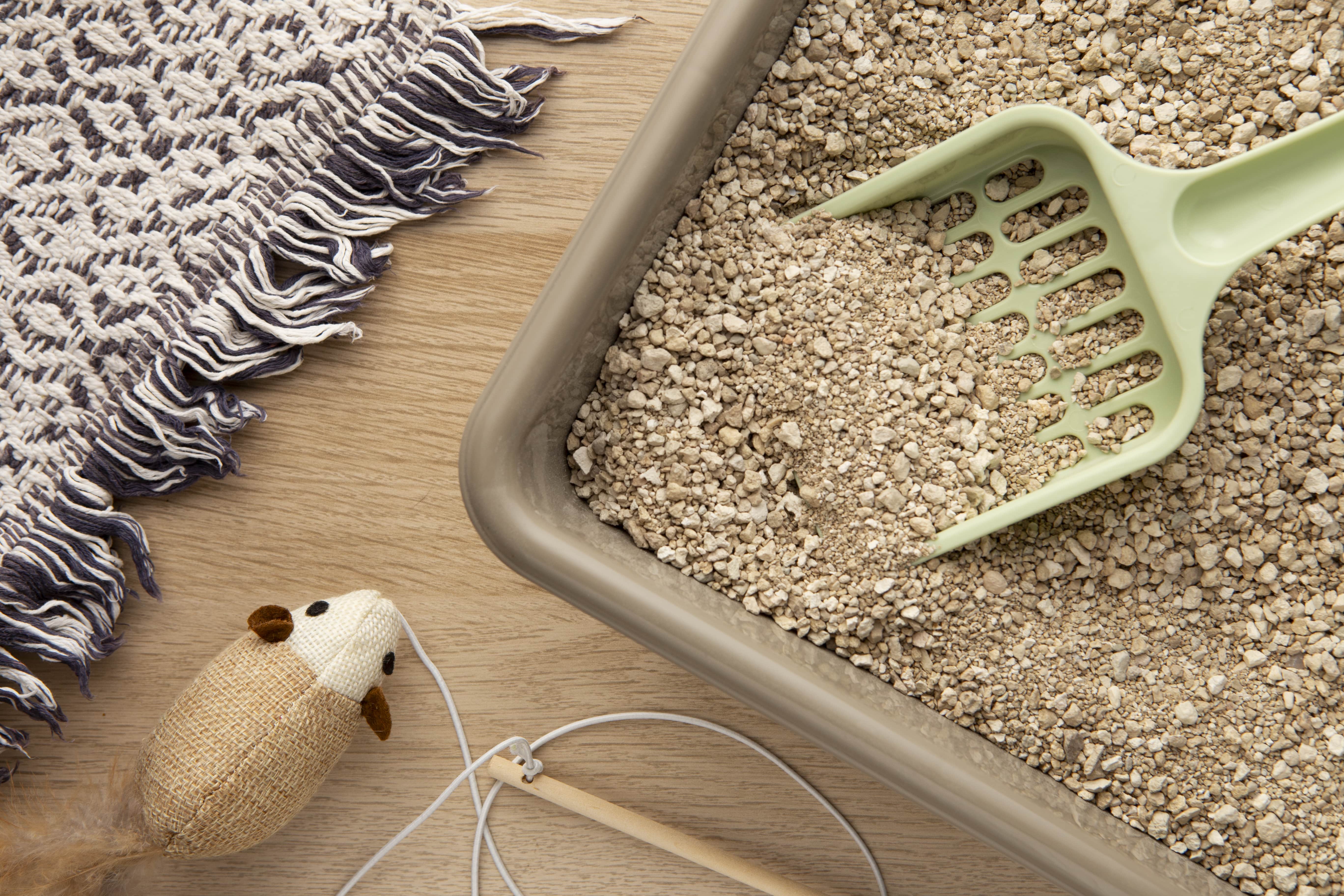 2024 부산 반려동물 박람회 벡스코 사전등록 기간 안내