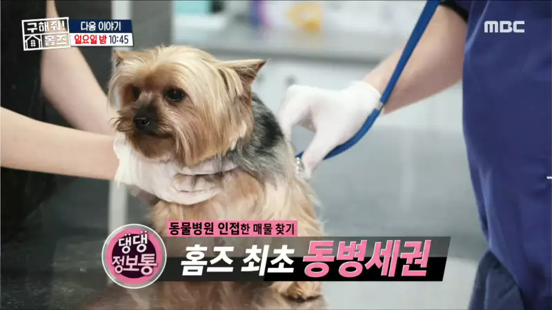 구해줘홈즈 고덕한 산책가 동물병원 인접 강동구 고덕 전세 매매 매물 가격 및 구조 인테리어 리모델링 최종선택 강재준 양세찬 소개
