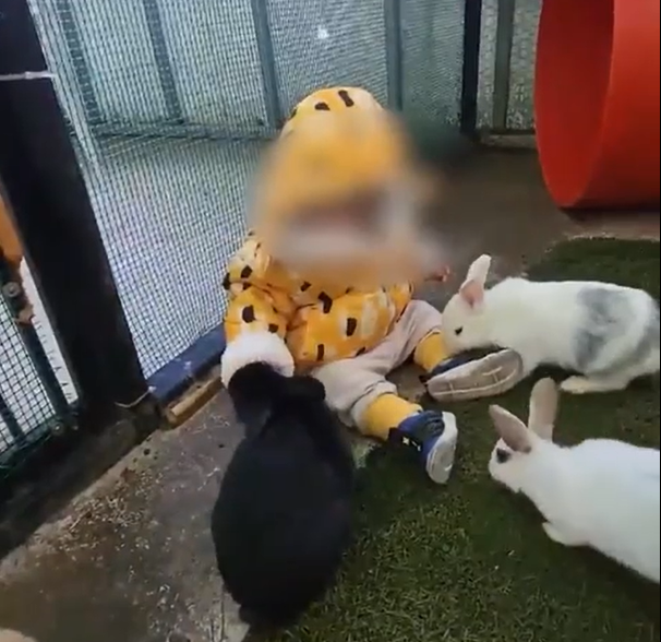 토끼가 아이의 손가락을 물고 있는 모습
