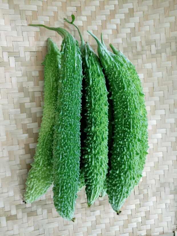 당뇨 환자에게 좋은 여주의 효능 및 부작용