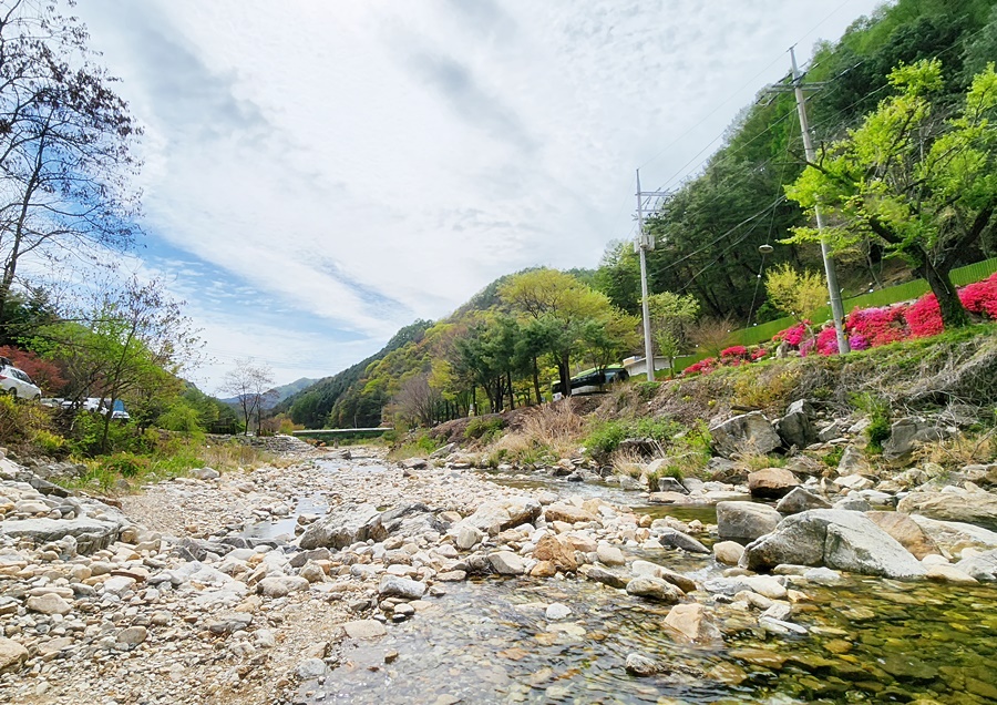 물이 맑고 주변 녹지가 너무 잘조성된 계곡